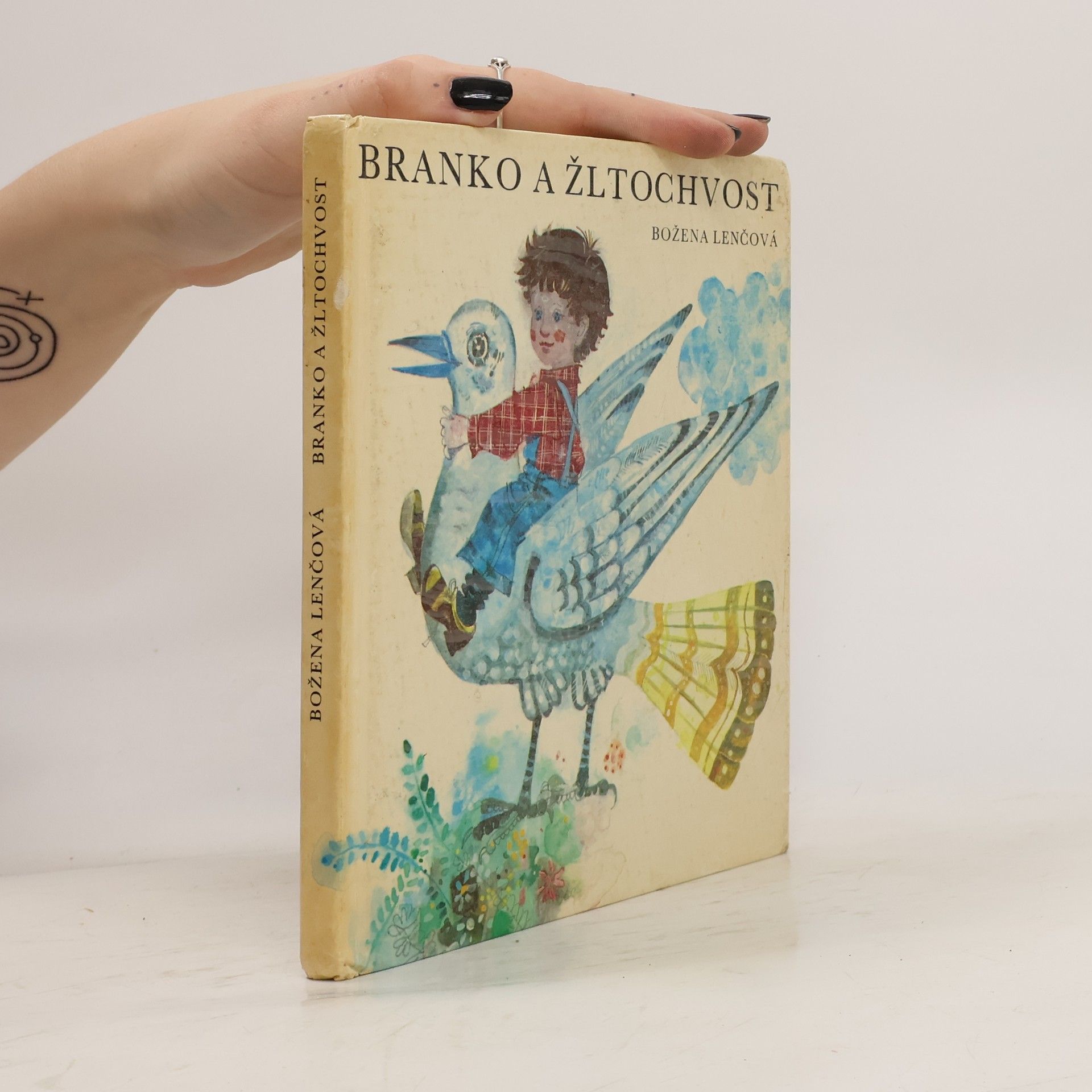Božena Lenčová Branko a žltochvost