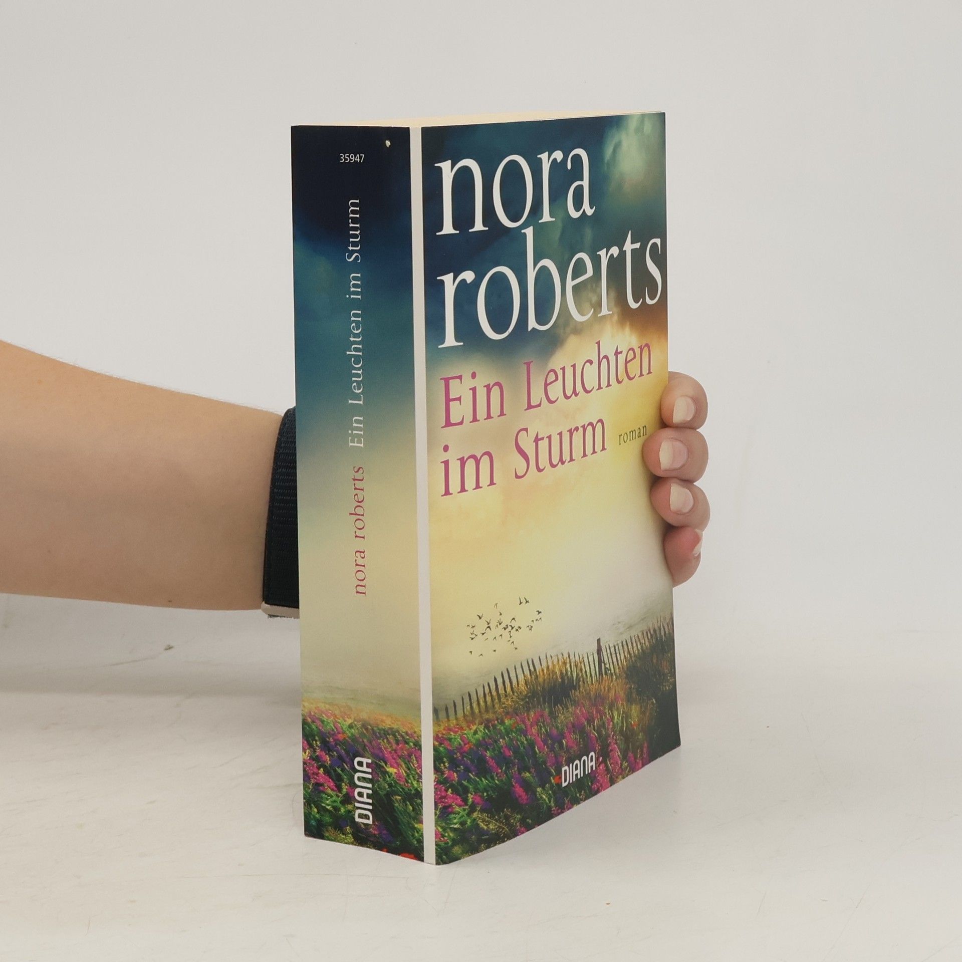 Nora Roberts Ein Leuchten im Sturm