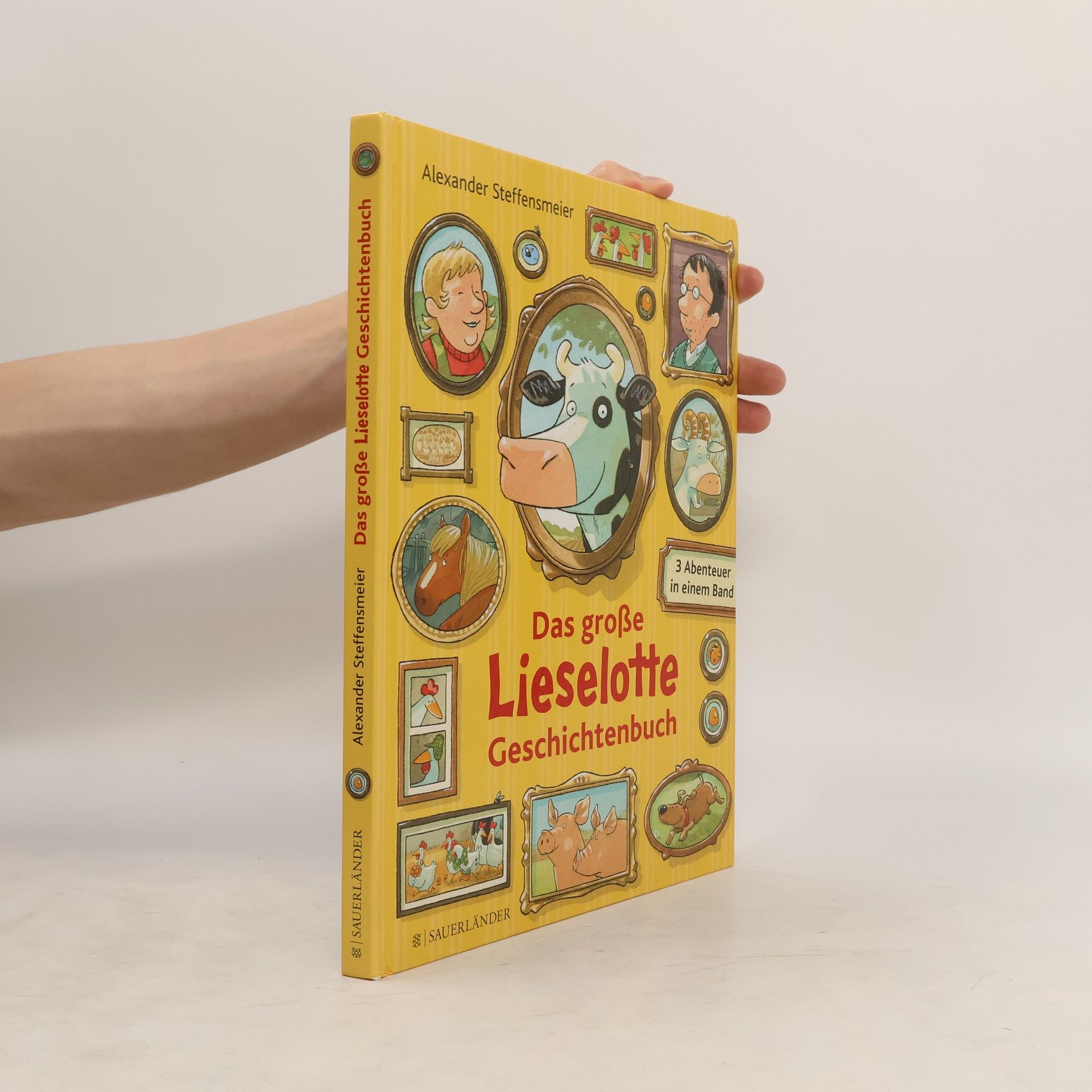 Alexander Steffensmeier Das große Lieselotte Geschichtenbuch