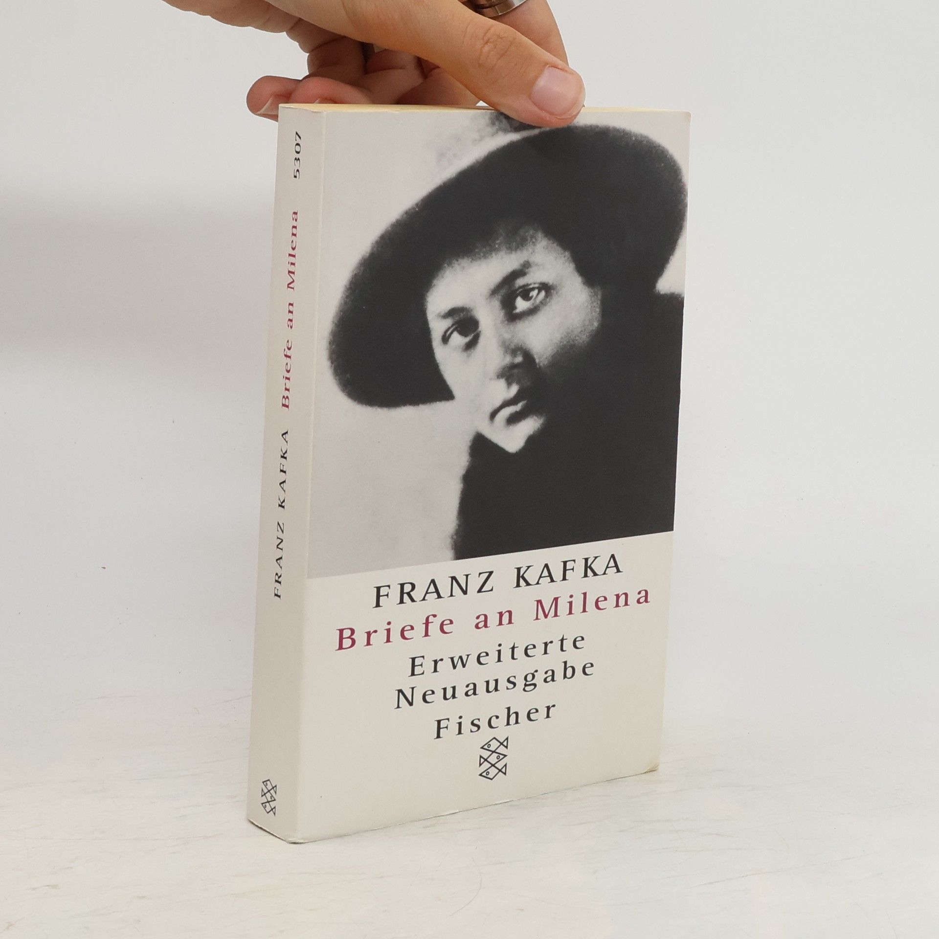 Franz Kafka Briefe an Milena