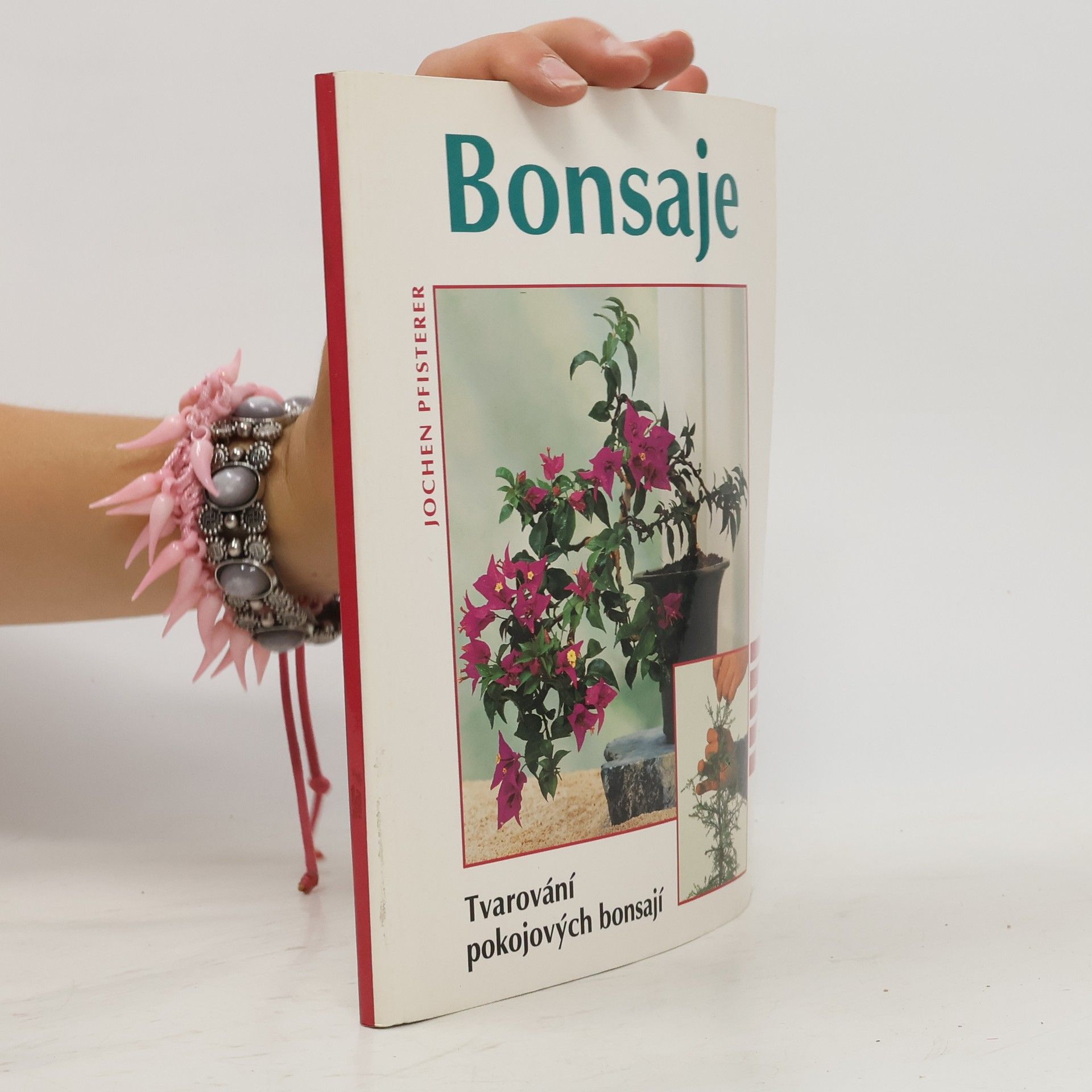 Jochen Pfisterer Bonsaje. Tvarování pokojových bonsají