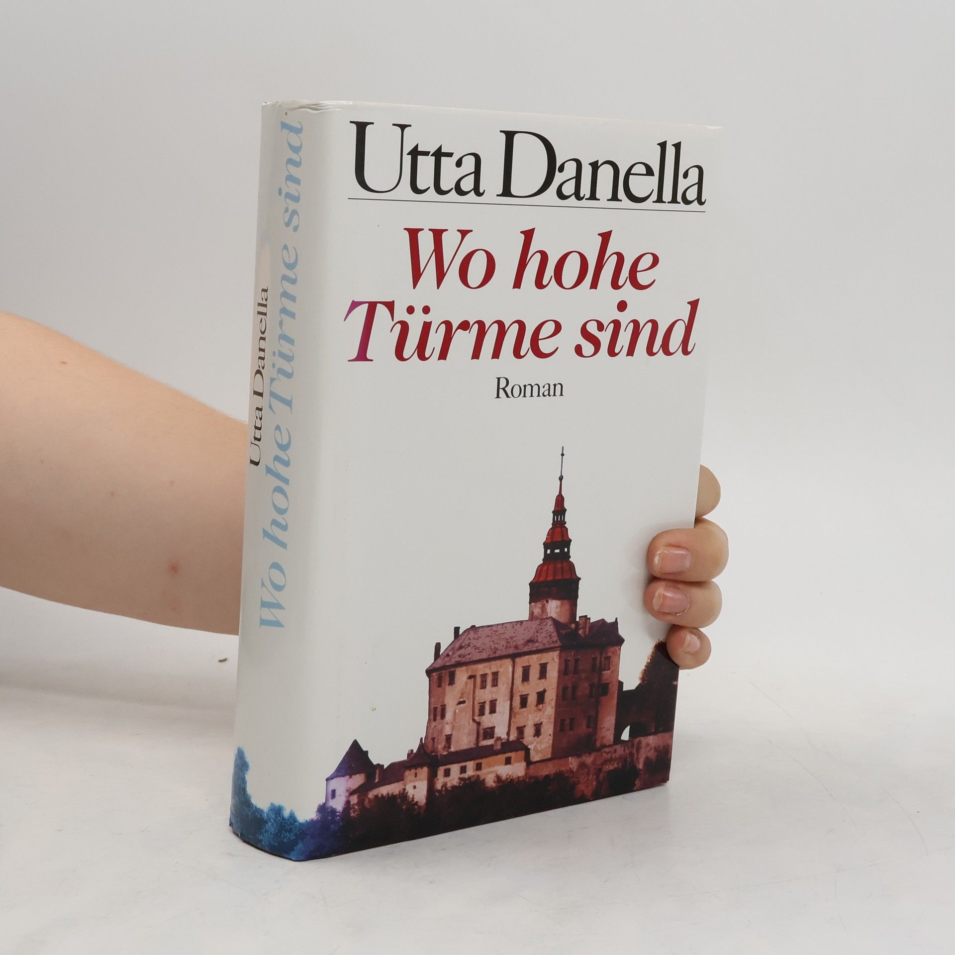 Utta Danella Wo hohe Türme sind