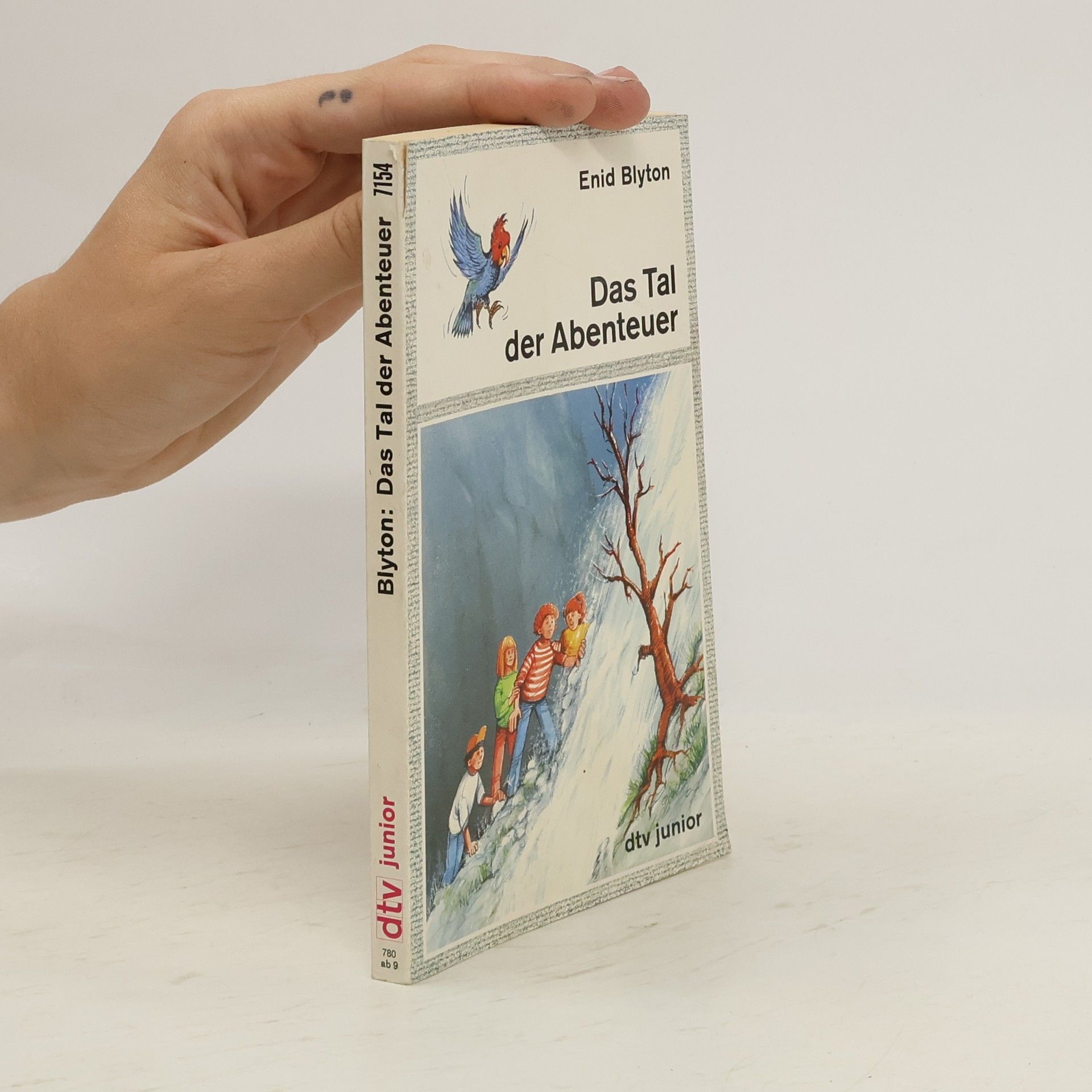 Enid Blyton Das Tal der Abenteuer