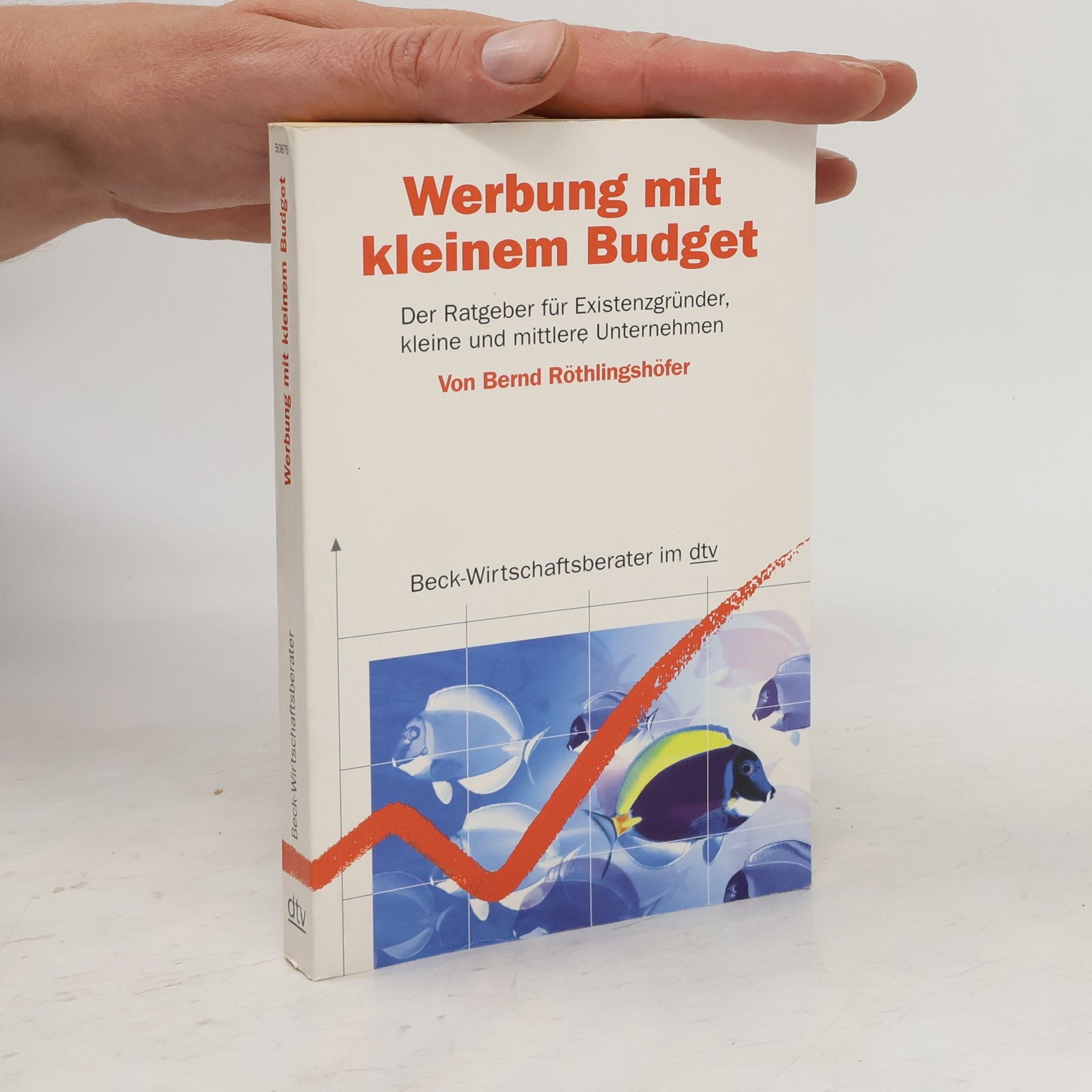 Bernd Röthlingshöfer Werbung mit kleinem Budget