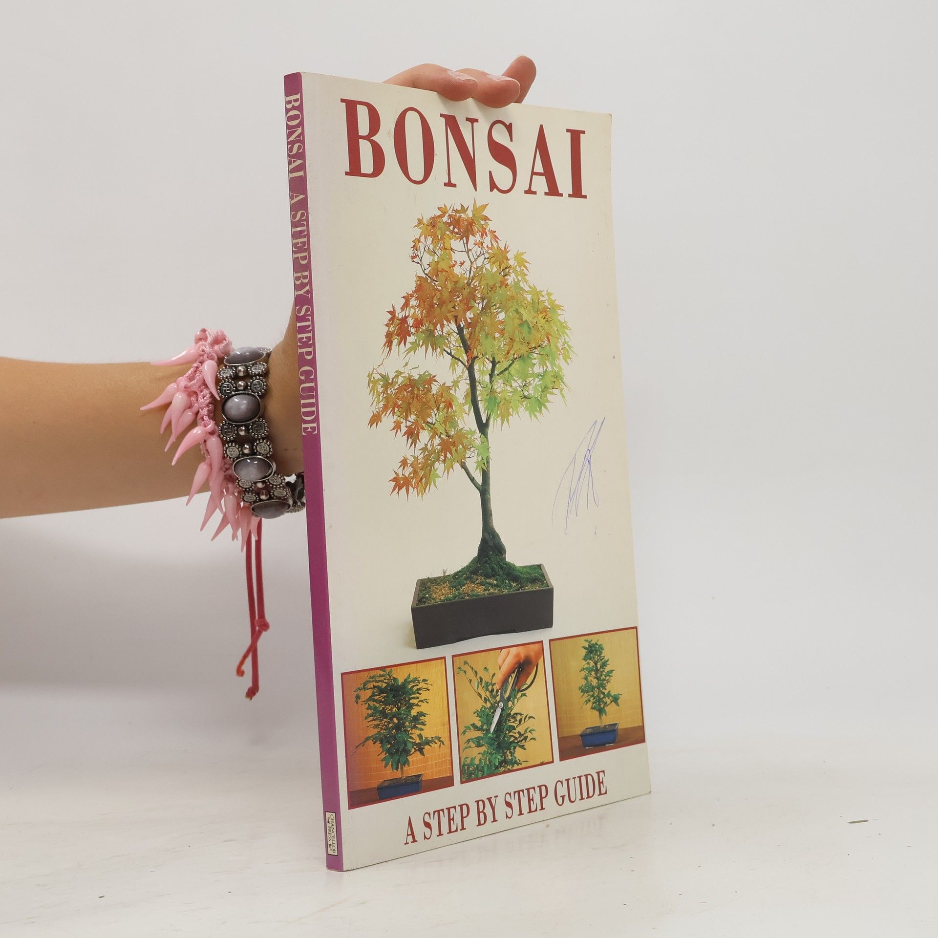Christian Pessey Bonsai