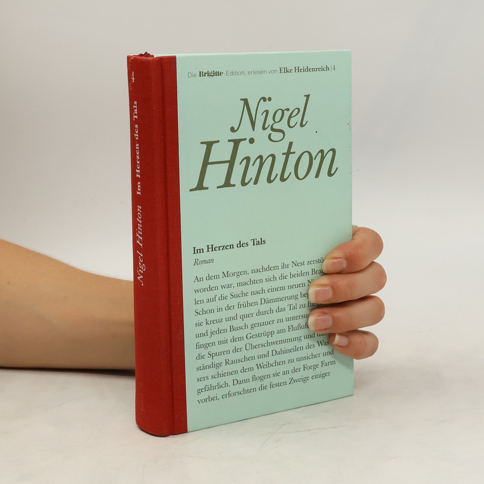 Nigel Hinton Im Herzen des Tals 4