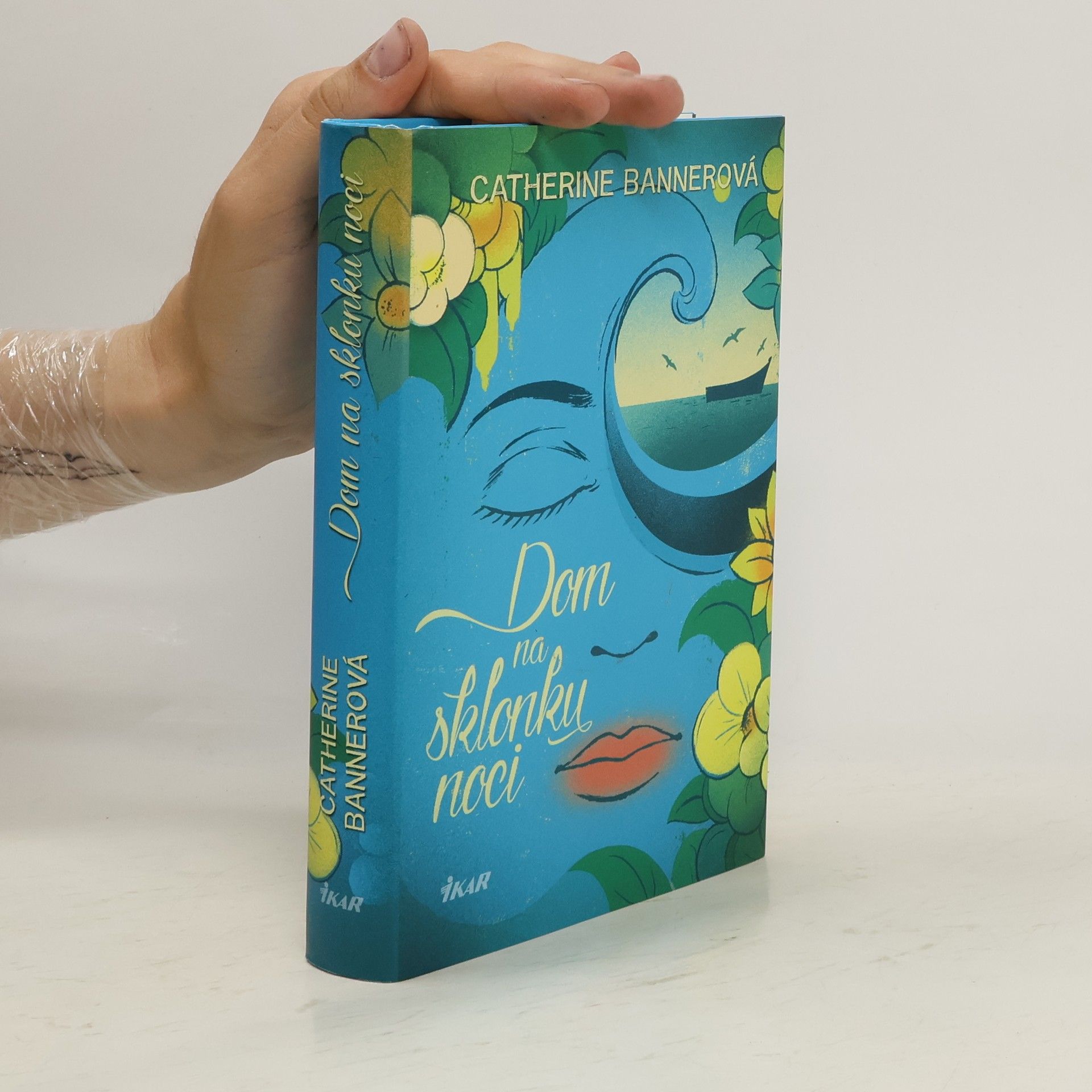 Catherine Banner Dom na sklonku noci