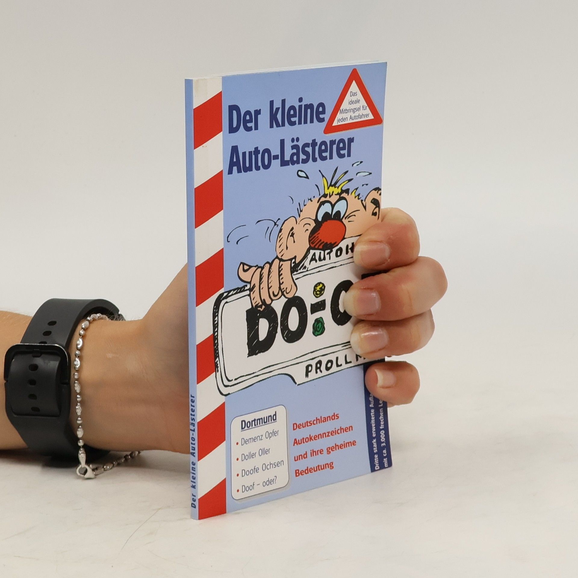 Autorenkollektiv Der kleine Auto-Lästerer