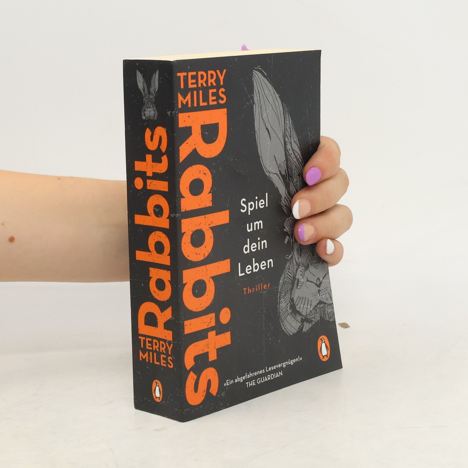 Terry Miles Rabbits. Spiel um dein Leben
