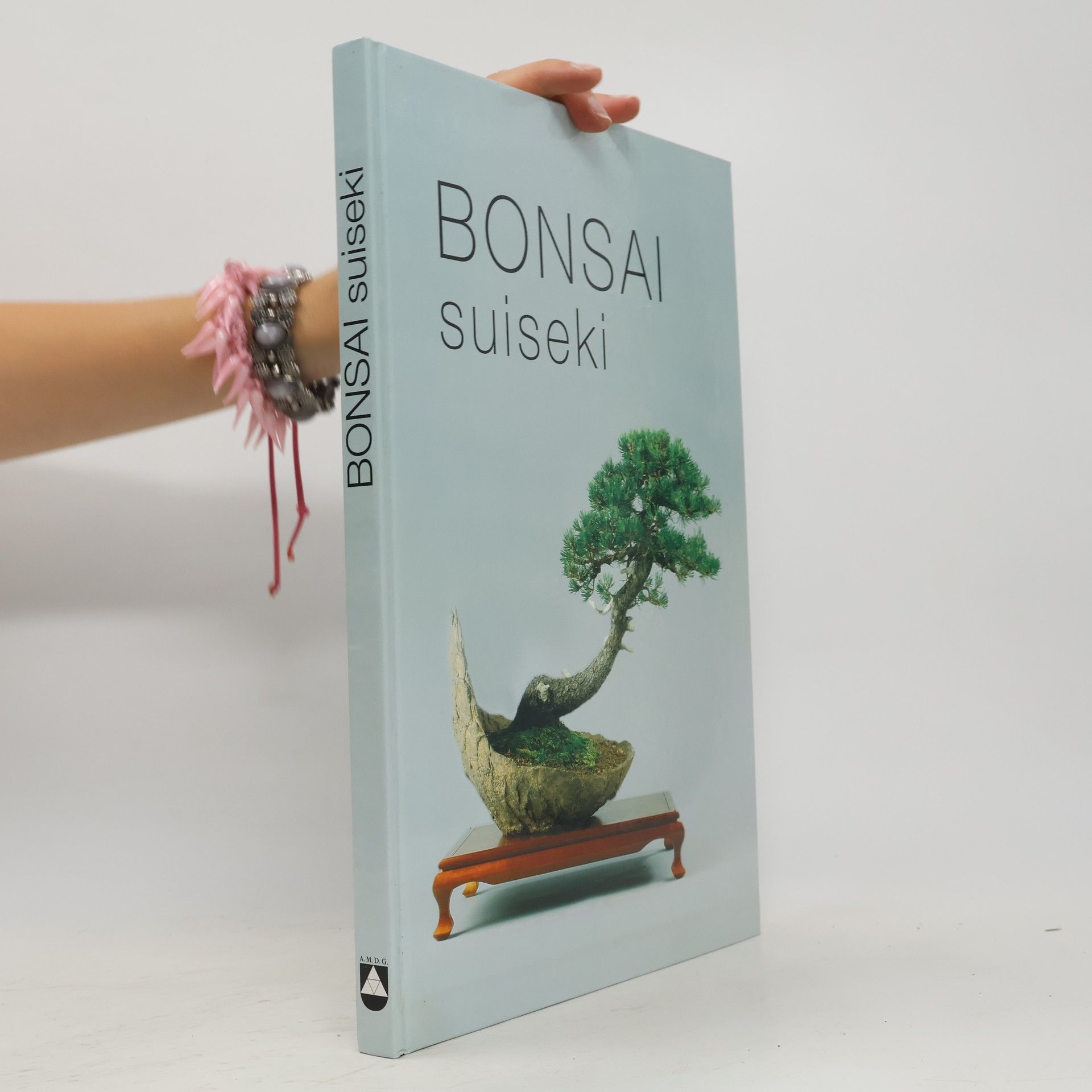 Josef Svatopluk Matějka Bonsai, suiseki
