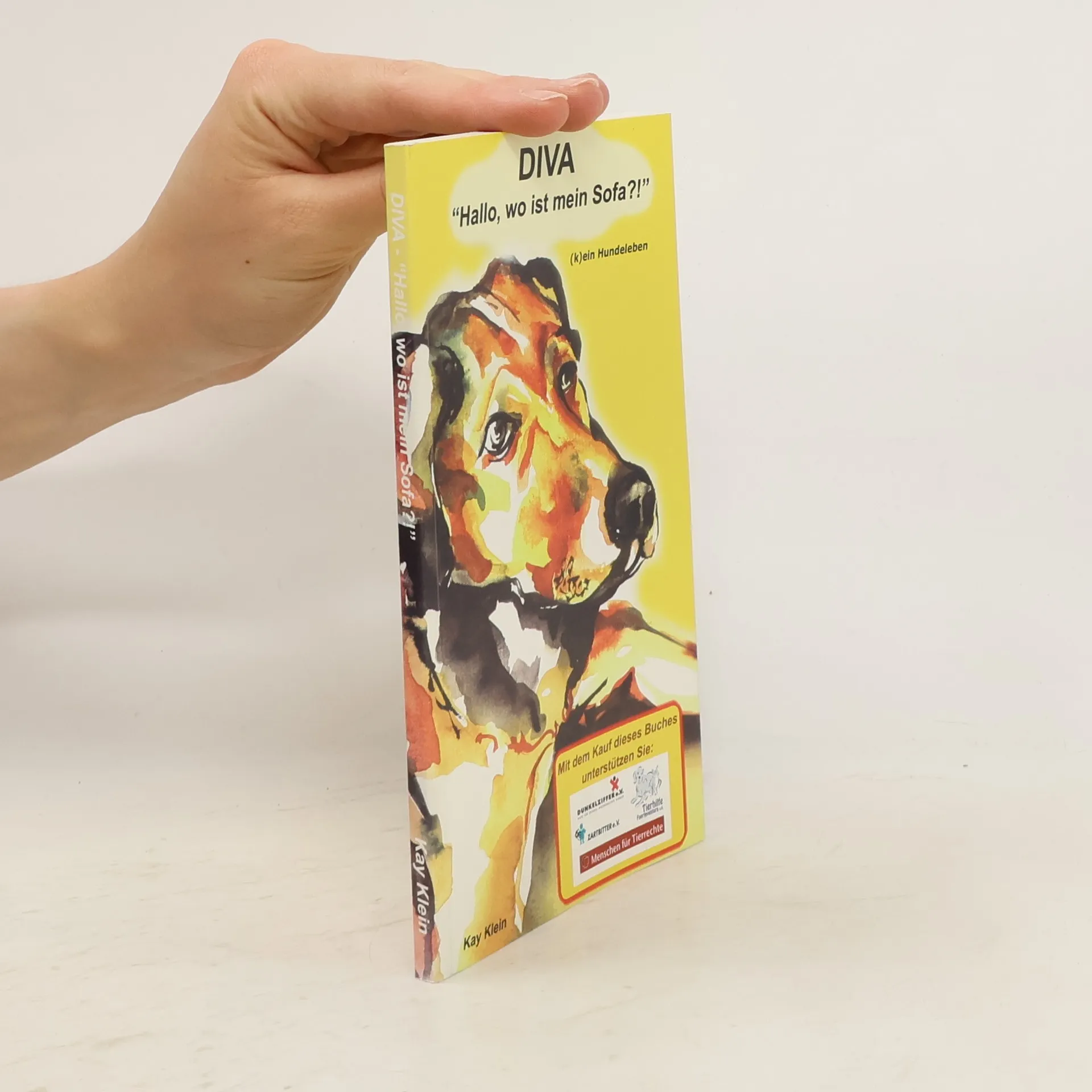 Diva, "Hallo, wo ist mein Sofa?!" | Kay Klein | Duits | Boek