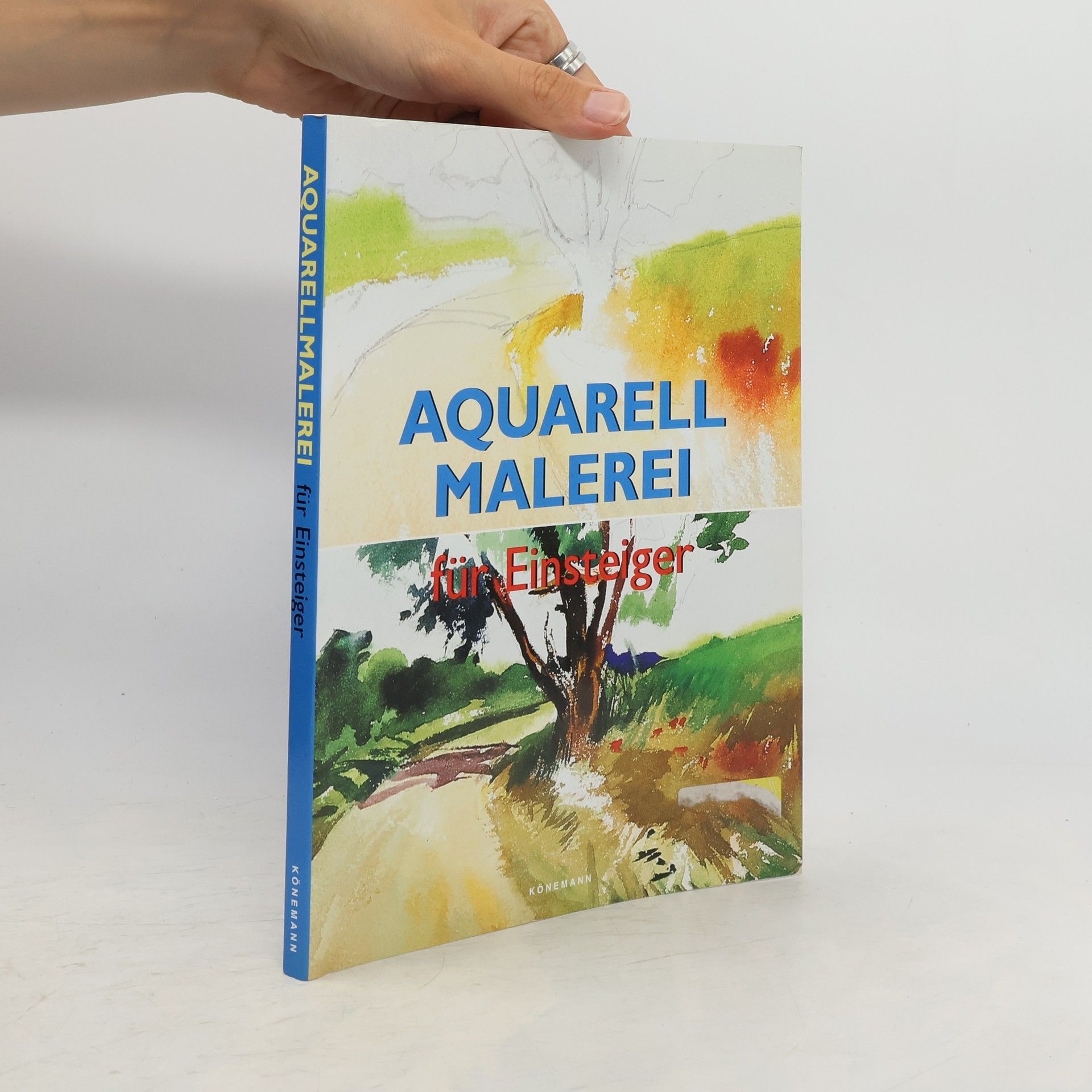 Francisco Asensio Cerver Aquarellmalerei für Einsteiger