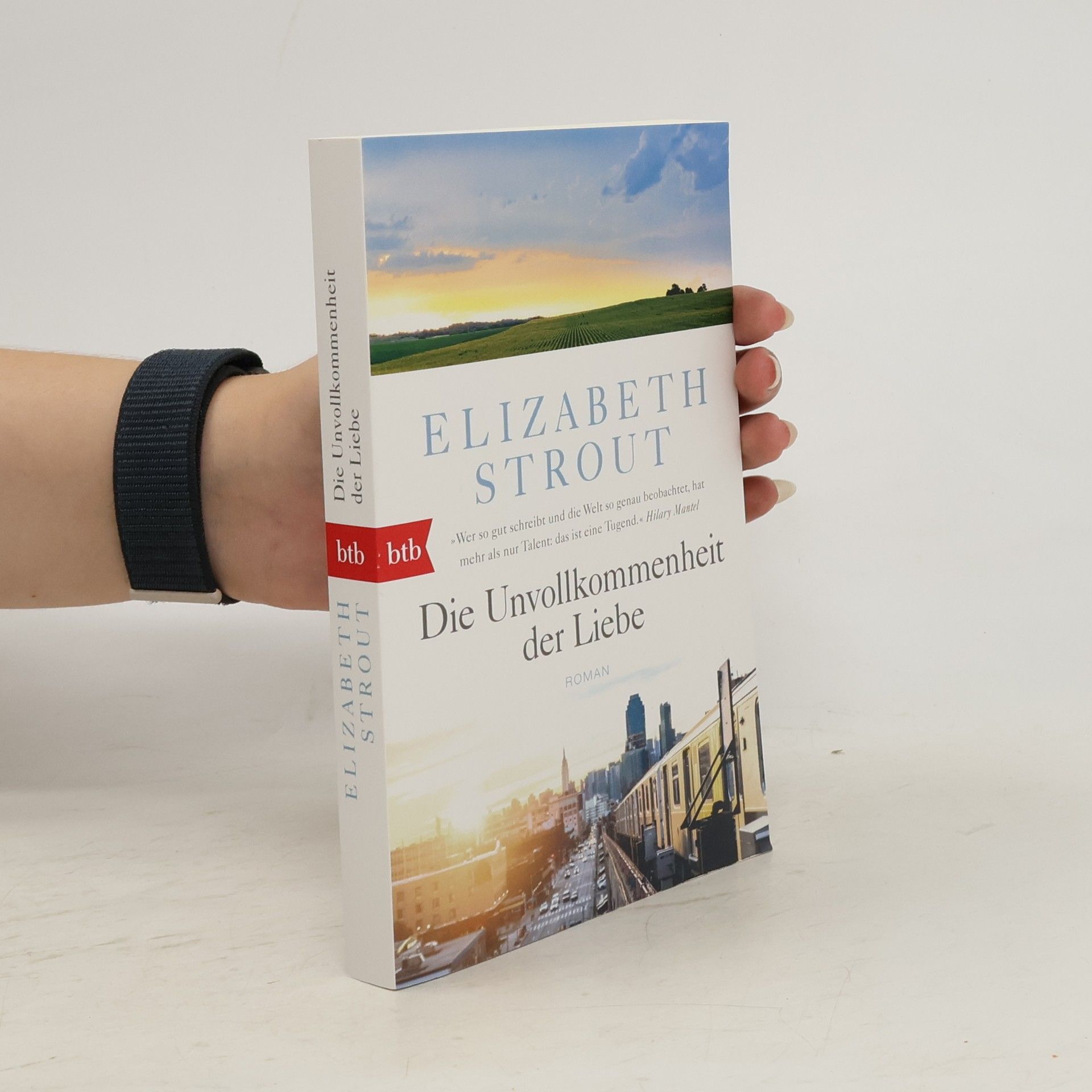 Elizabeth Strout Die Unvollkommenheit der Liebe