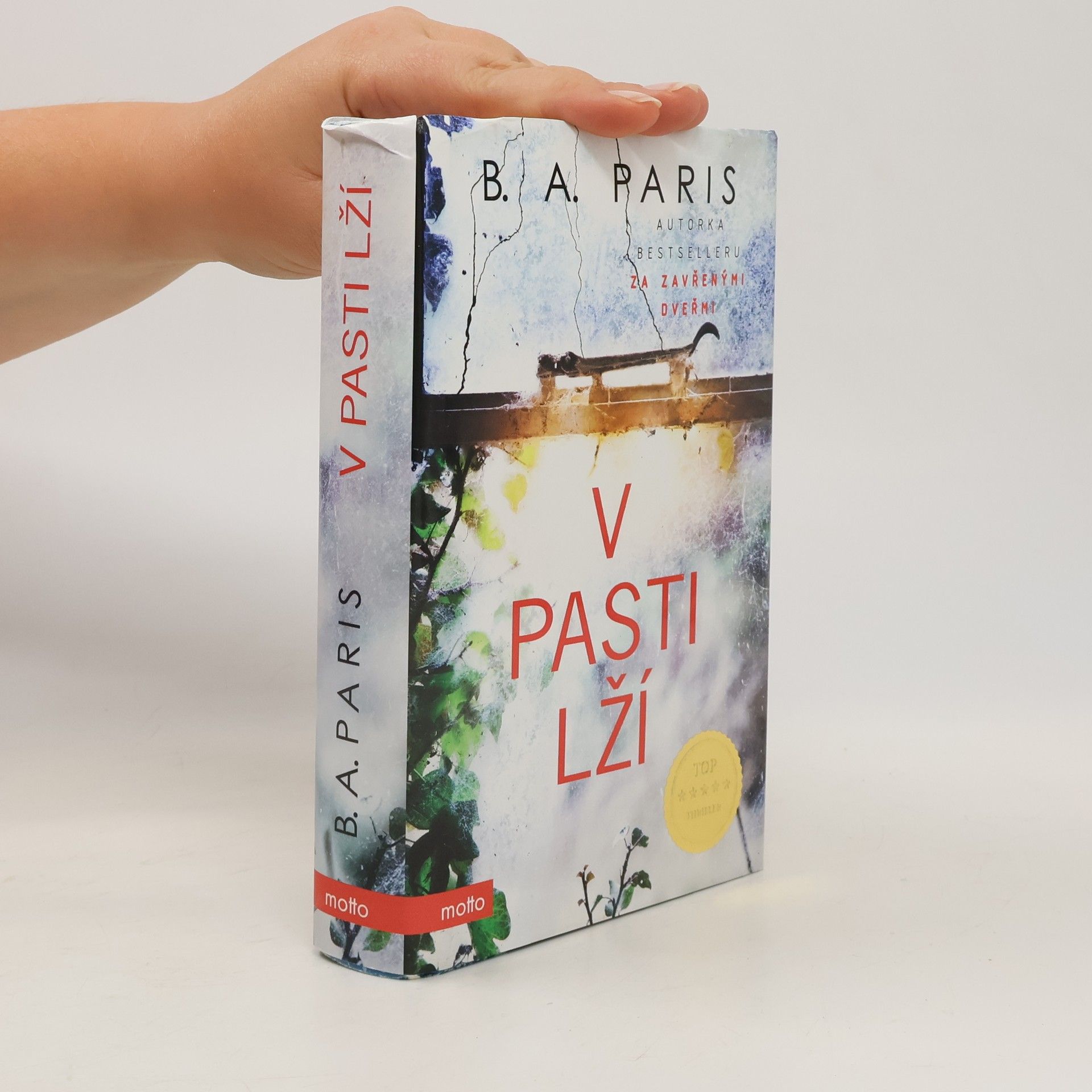 B.A. Paris V pasti lží