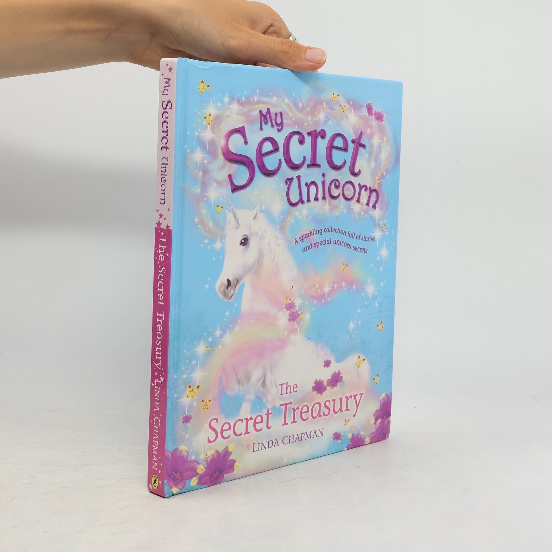 Linda Chapman Secret Treasury