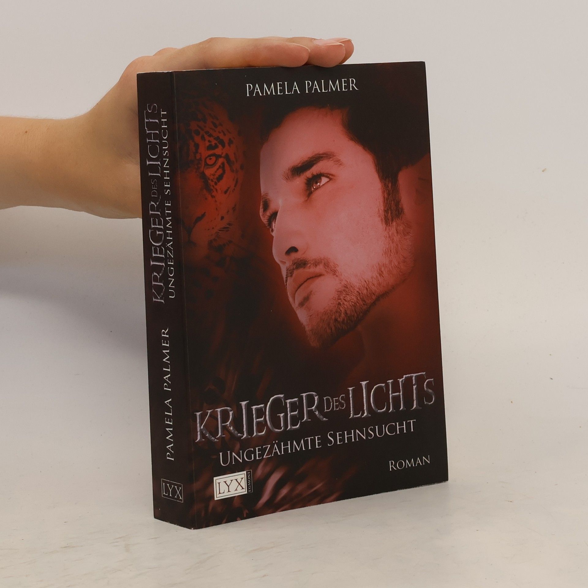 Pamela Palmer Krieger des Lichts 4