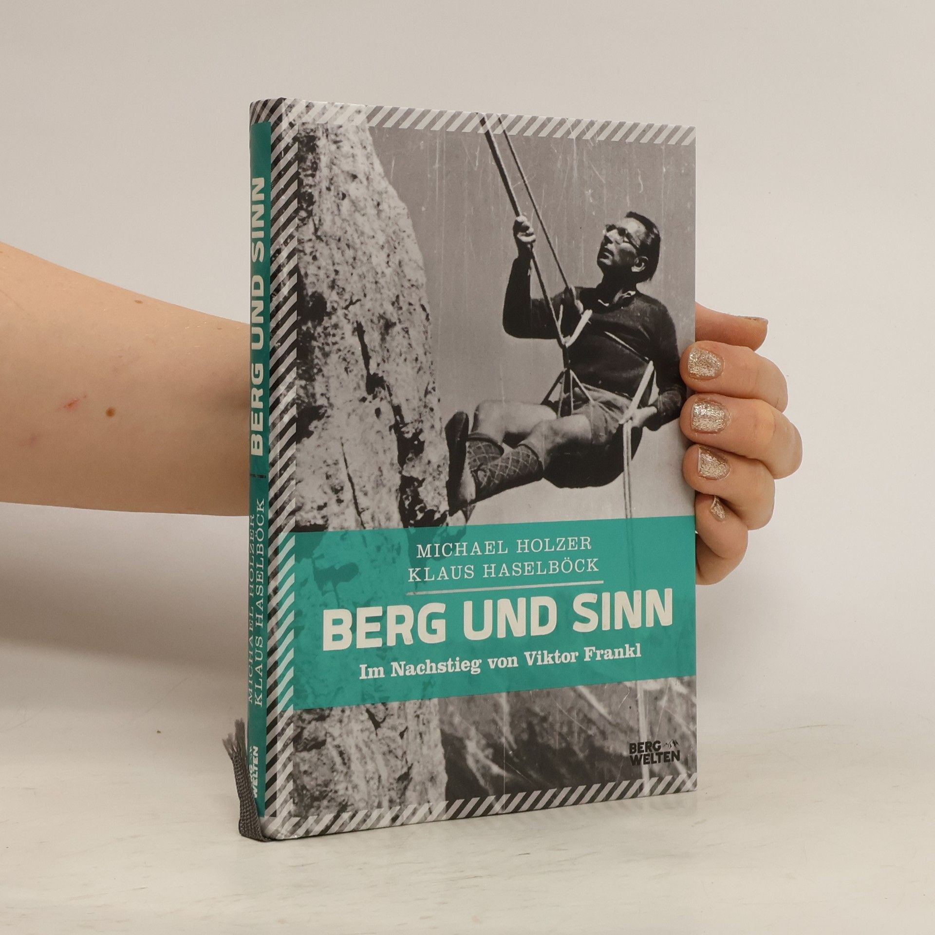 Michael Holzer Berg und Sinn