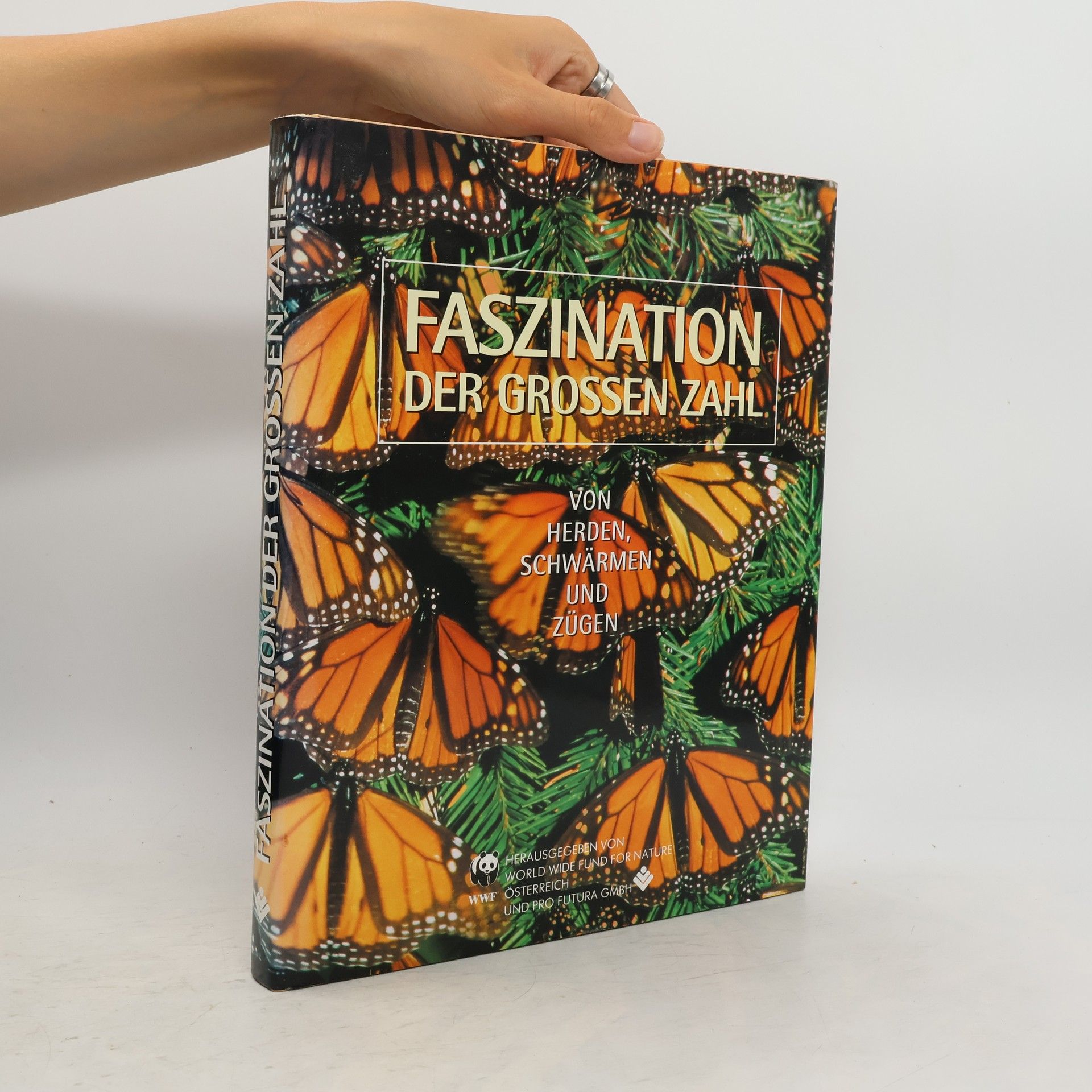 kolektiv Faszination der grossen Zahl