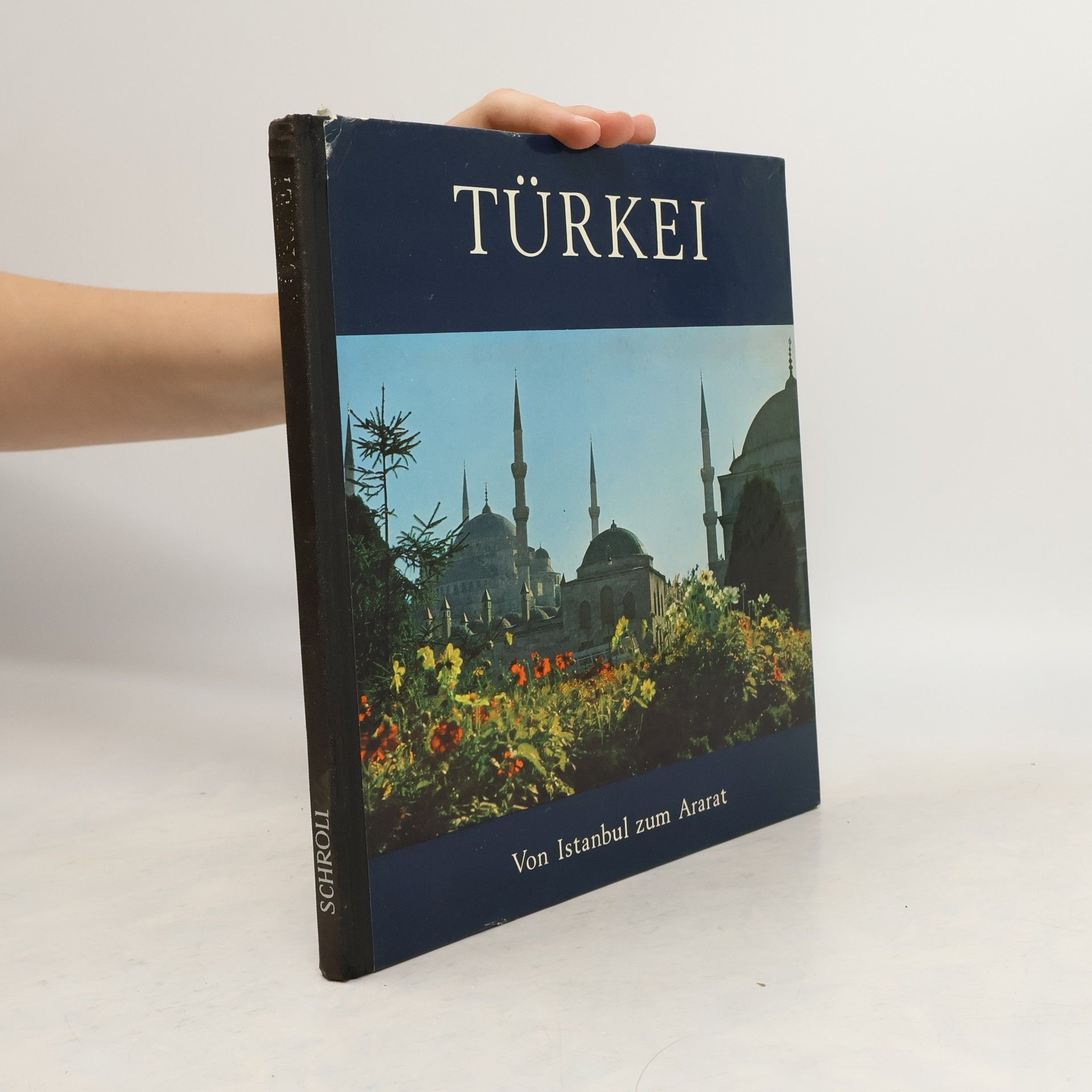 Julia Anita Babeluk Türkei