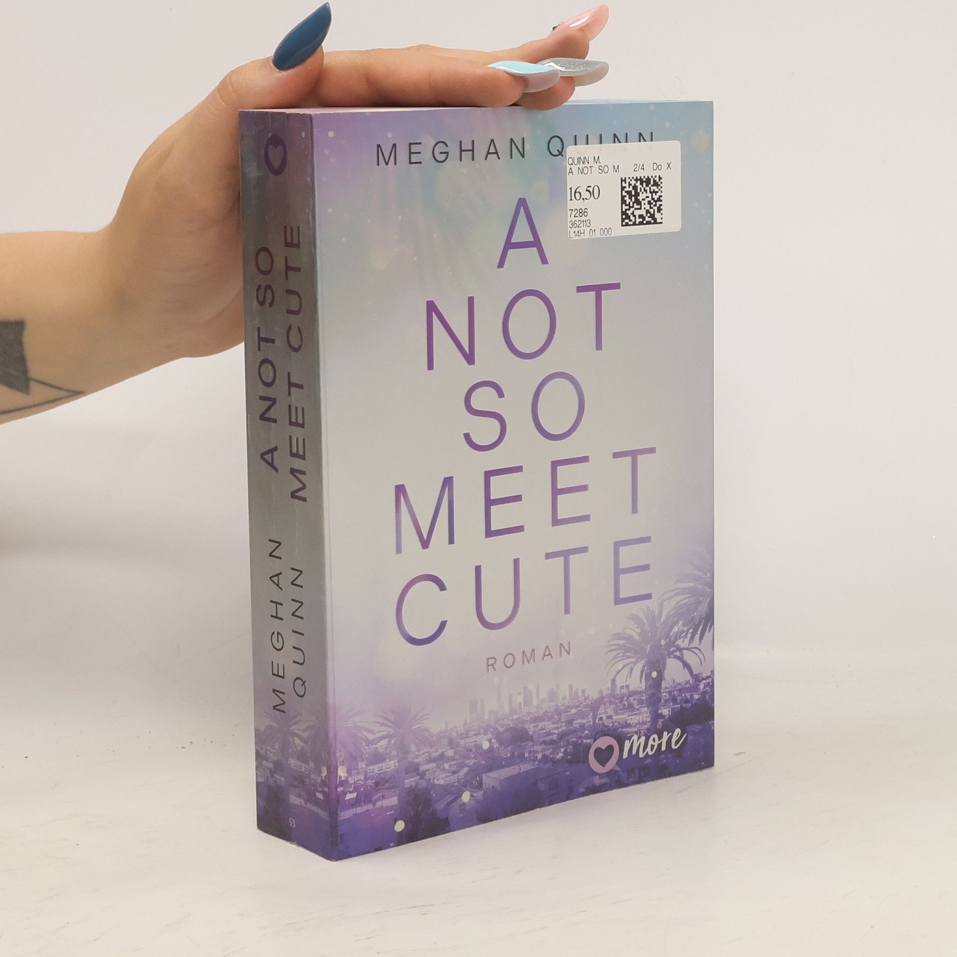 Meghan Quinn A Not So Meet Cute