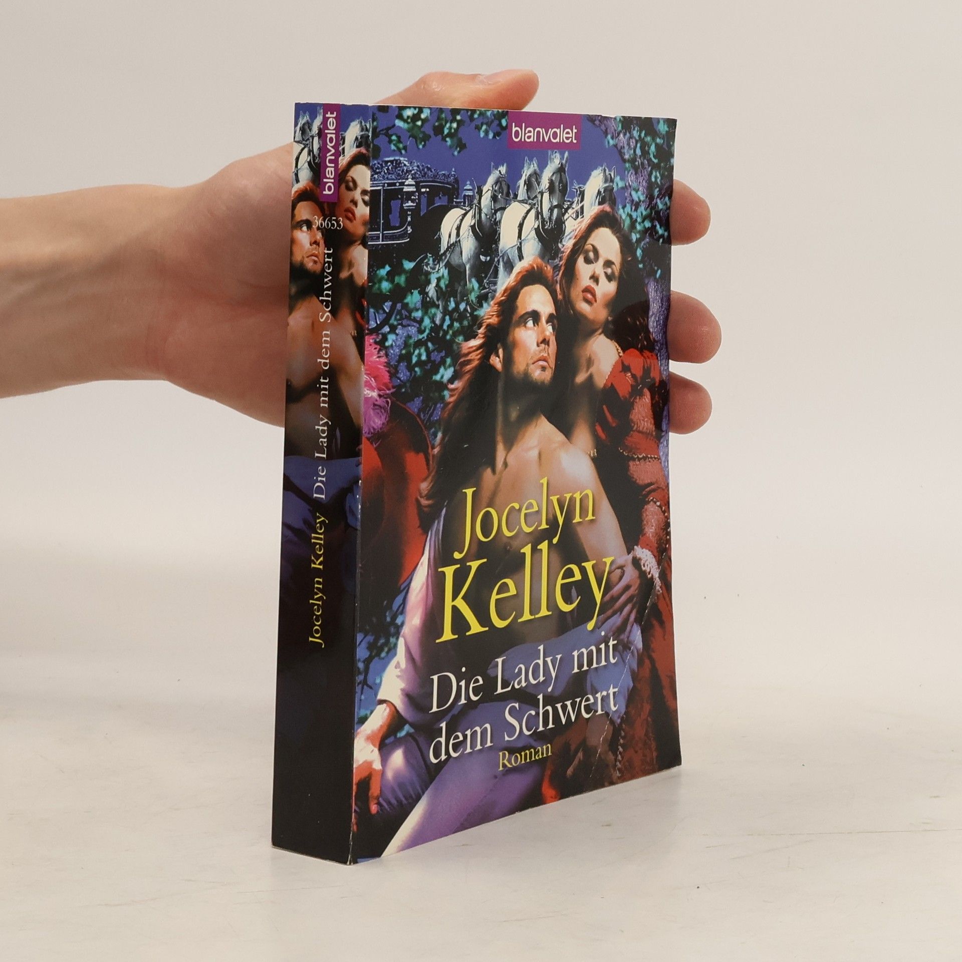 Jocelyn Kelley Die Lady mit dem Schwert