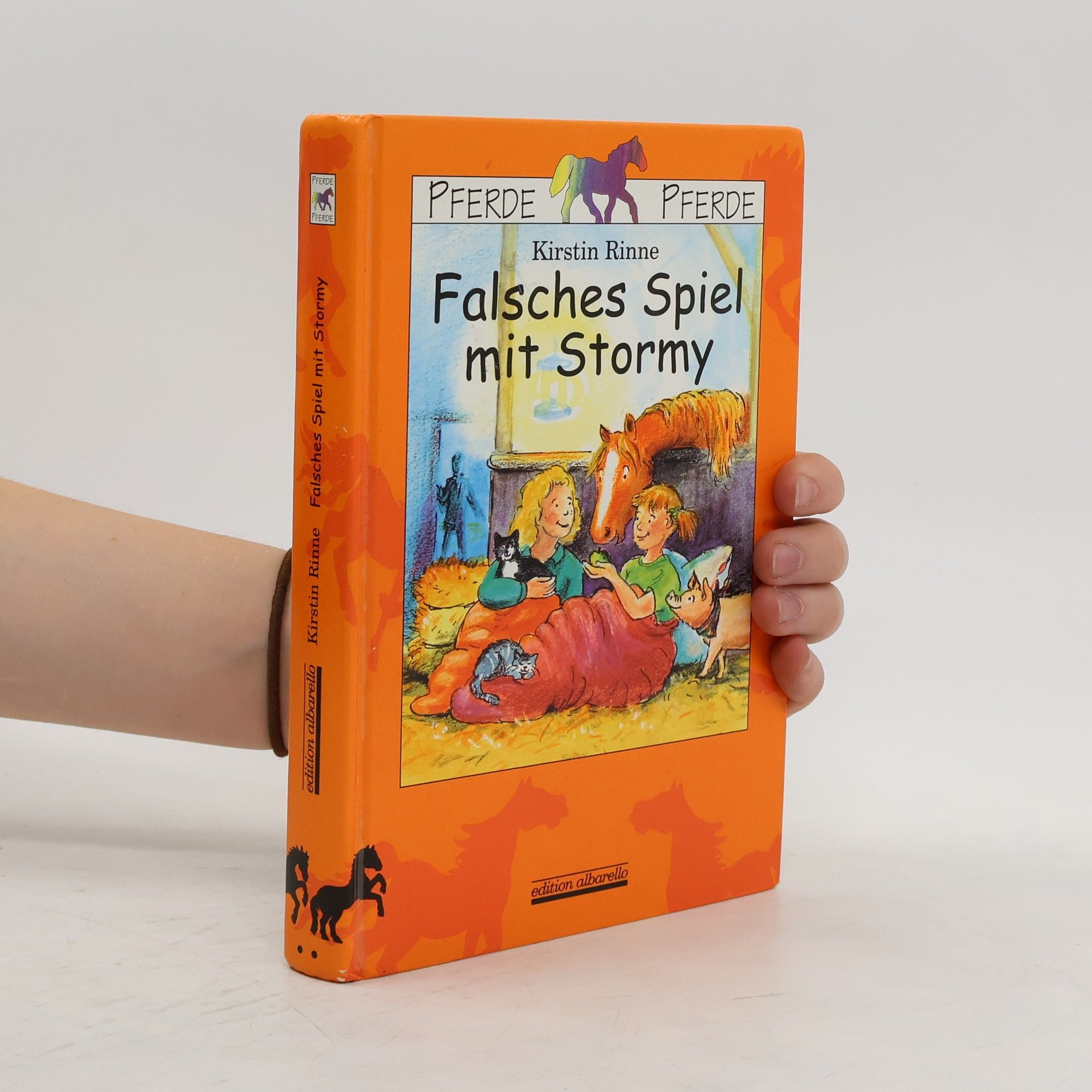 Kirstin Rinne Falsches Spiel mit Stormy