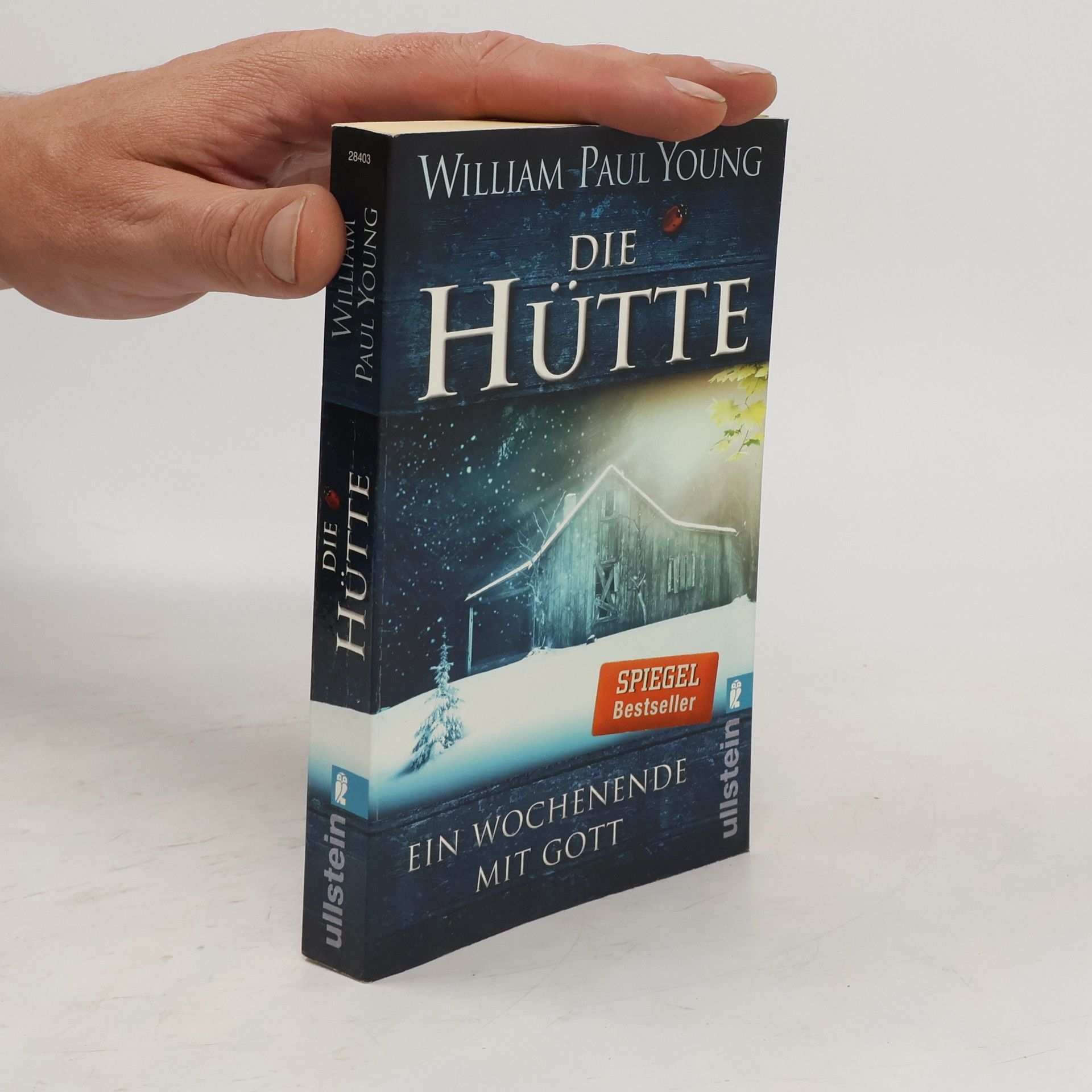 William P. Young Die Hütte