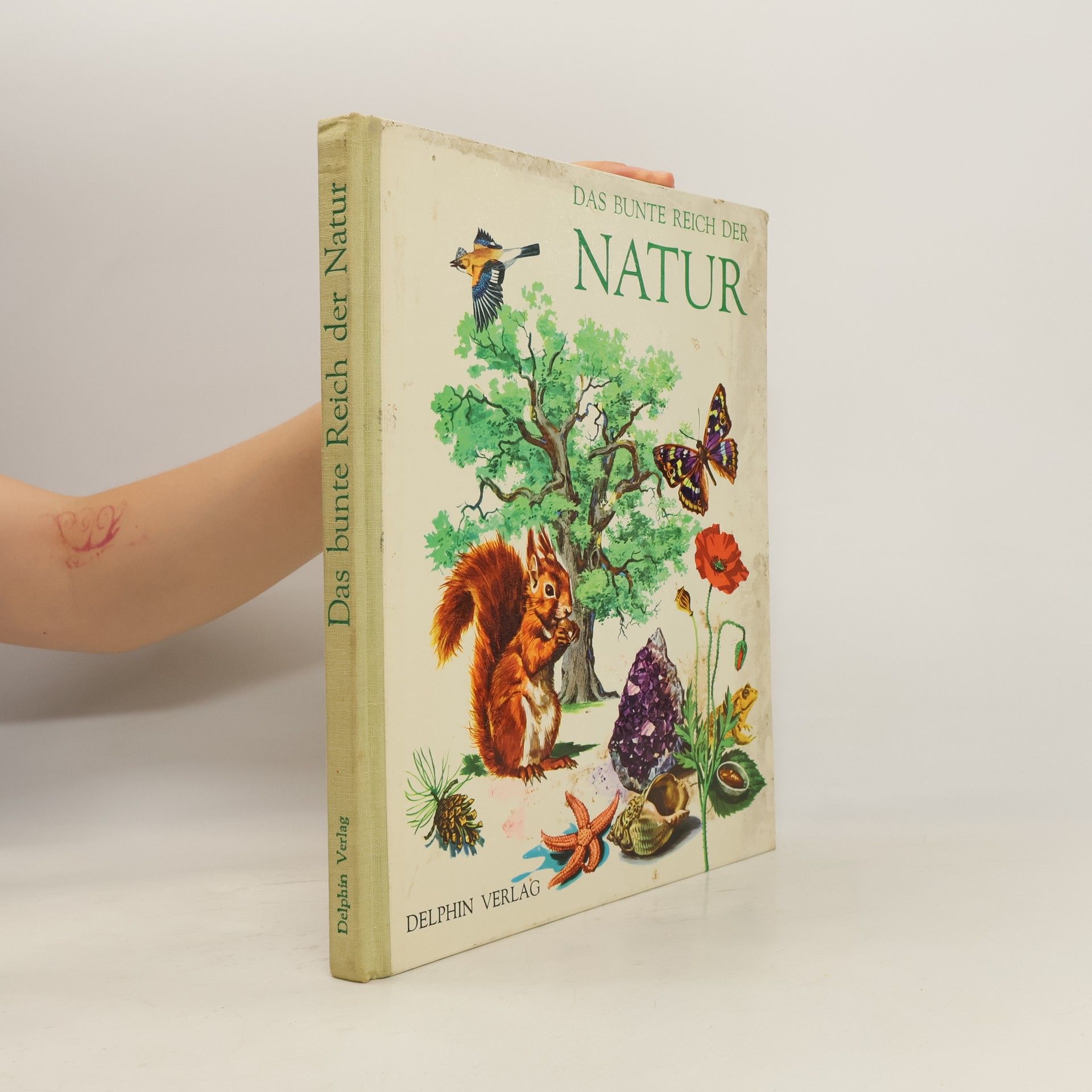 kolektiv Das bunte reich der natur