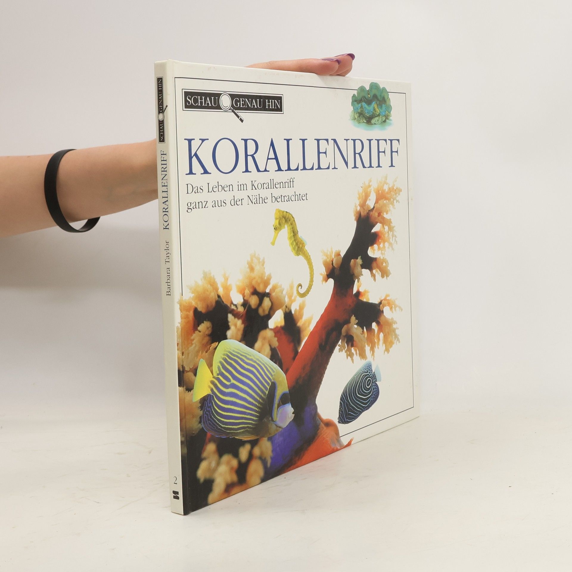 Barbara Taylor Bradford Korallenriff. Das Leben im Korallenriff ganz aus der Nähe betrachtet