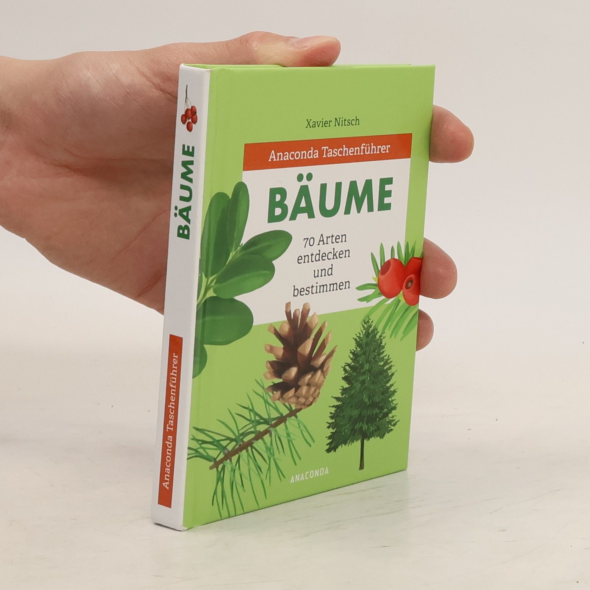 Xavier Nitsch Anaconda Taschenführer Bäume