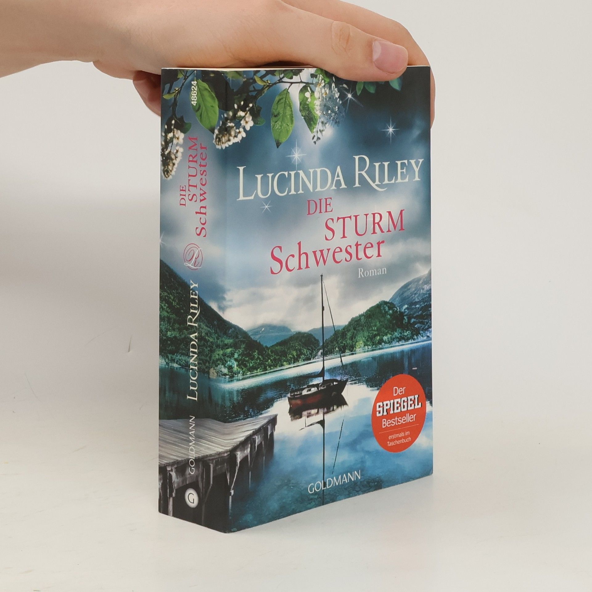 Lucinda Riley Die Sturmschwester