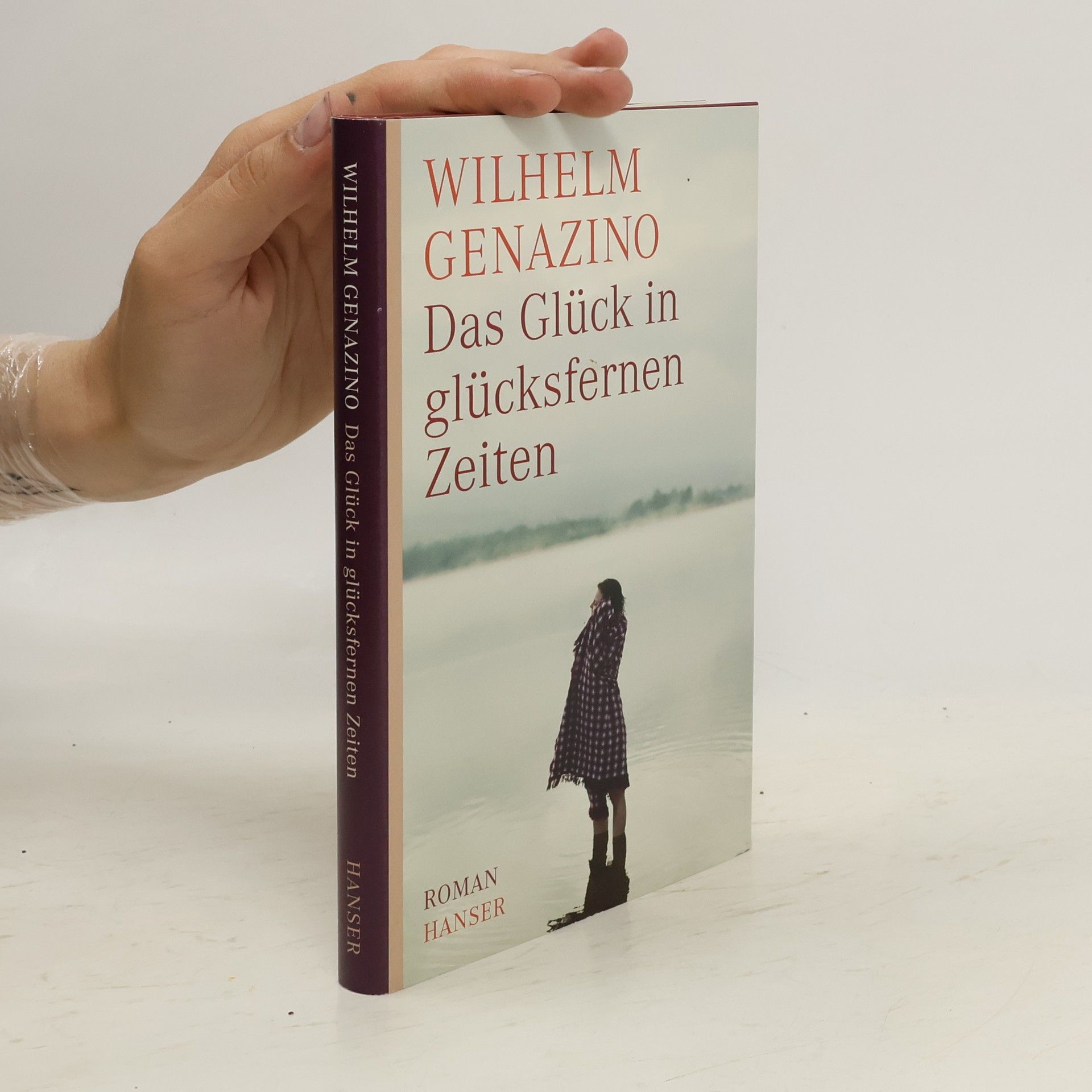 Wilhelm Genazino Das Glück in glücksfernen Zeiten