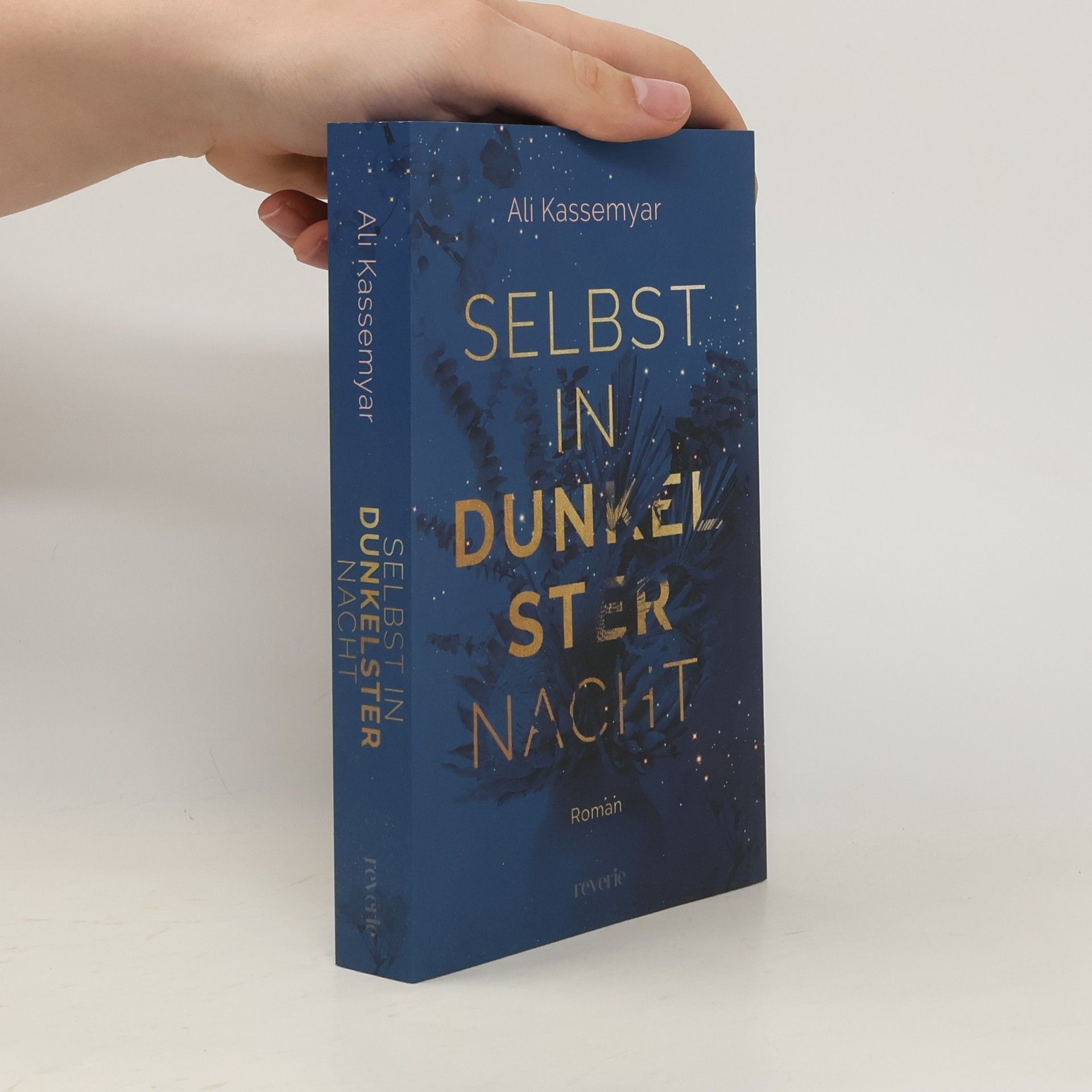 Ali Kassemyar Selbst in dunkelster Nacht