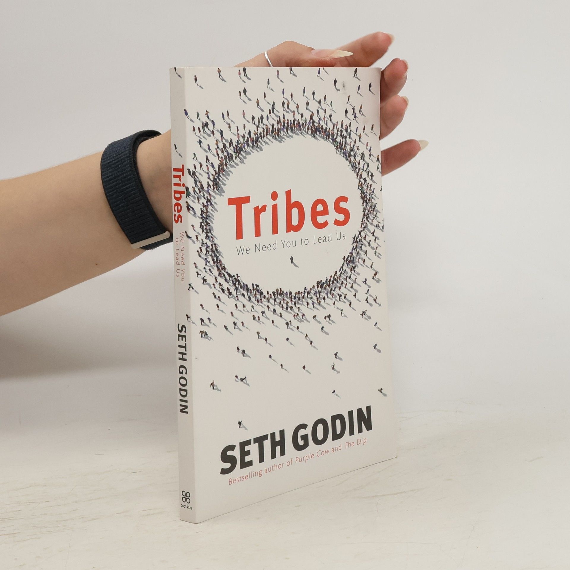 Seth Godin Tribes