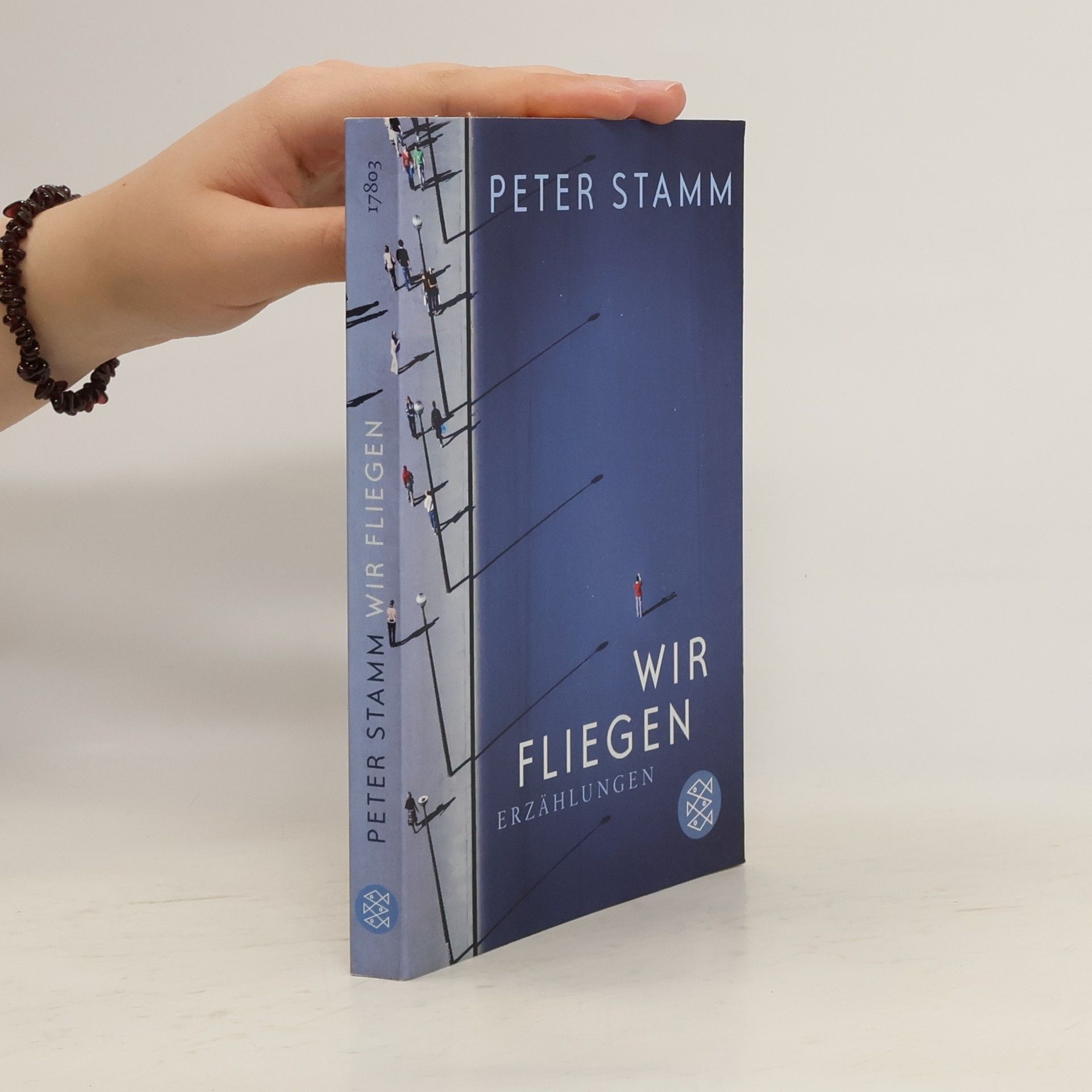 Peter Stamm Wir fliegen