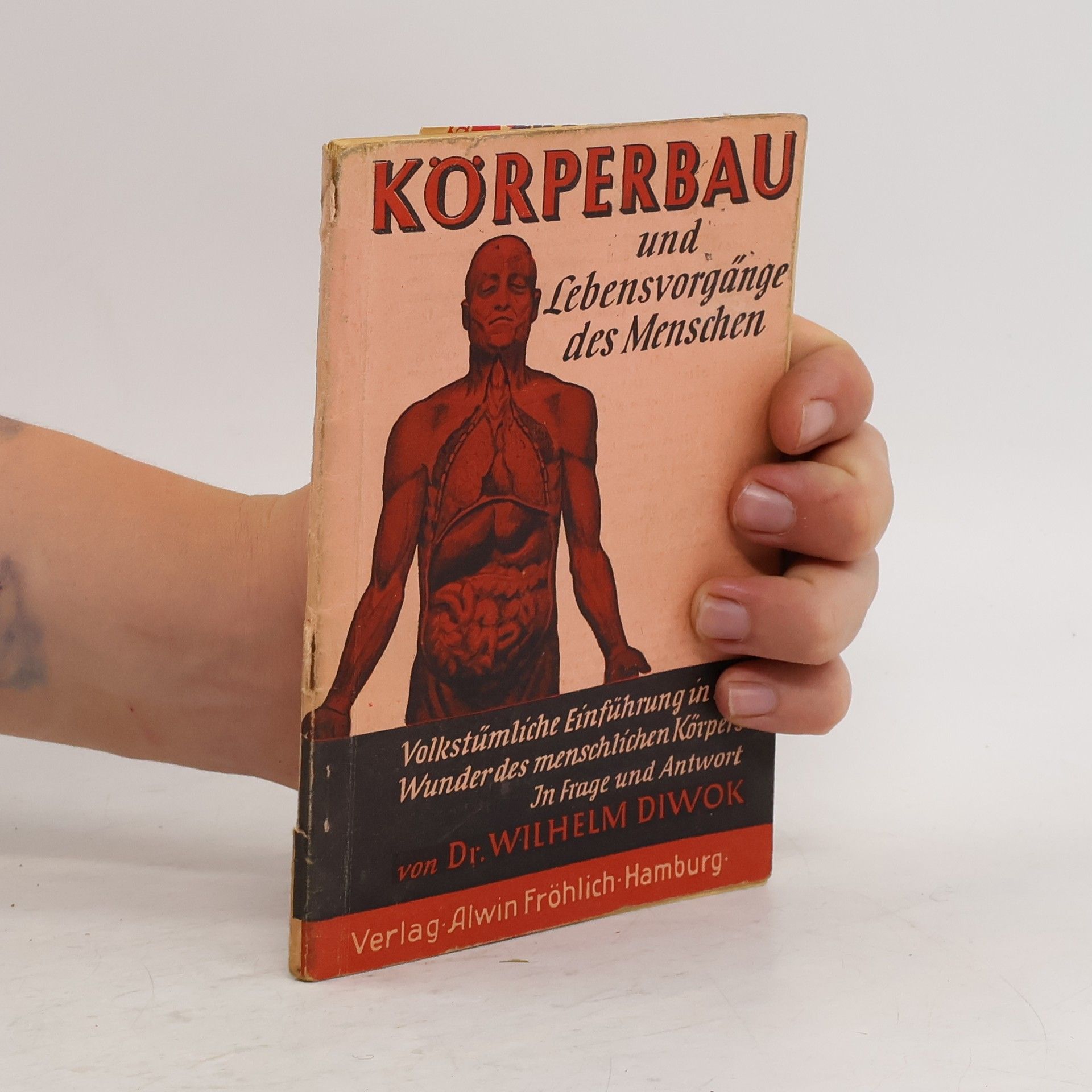 Wilhelm Diwok Körperbau und Lebensvorgänge des Menschen