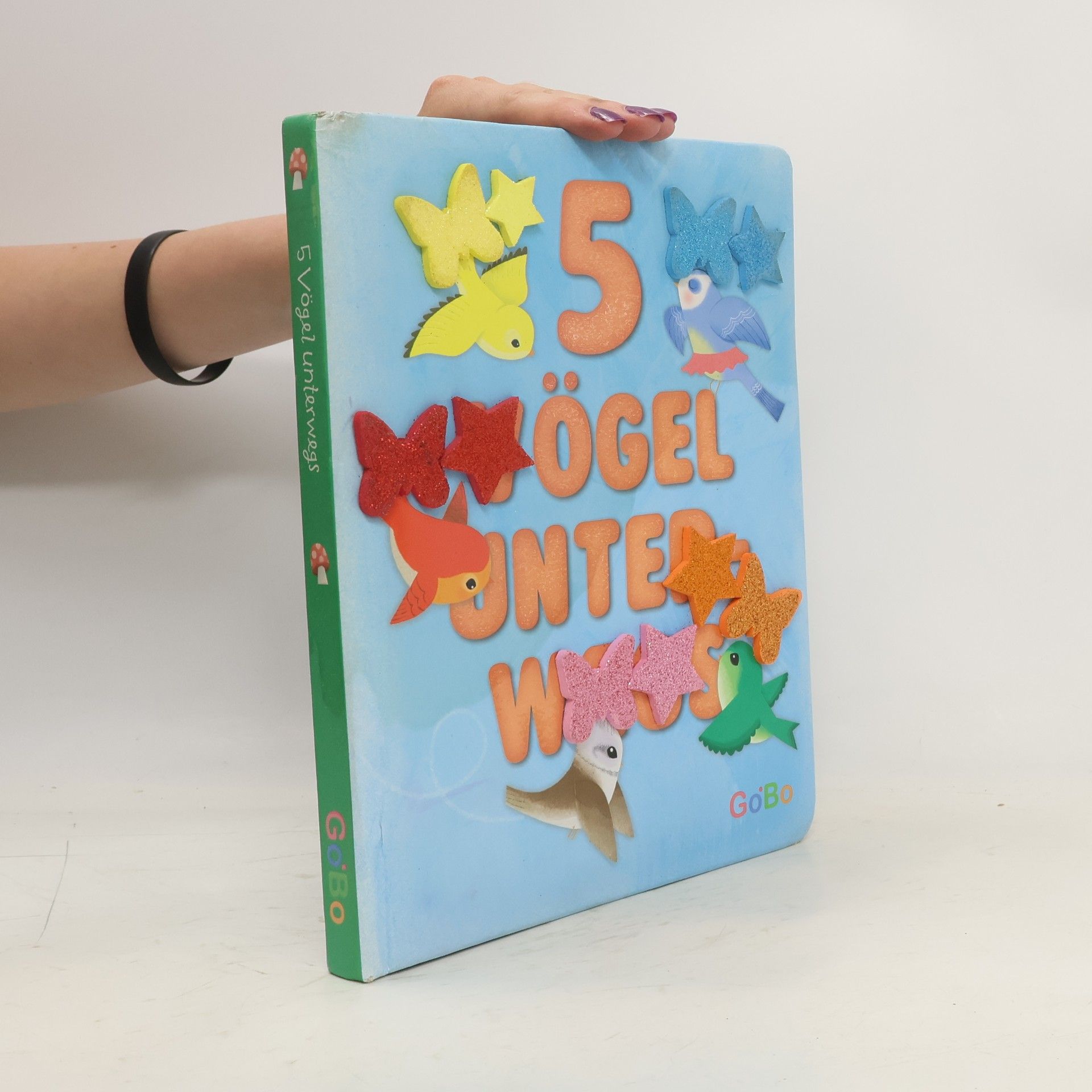 Autorenkollektiv 5 Vögel unterwegs