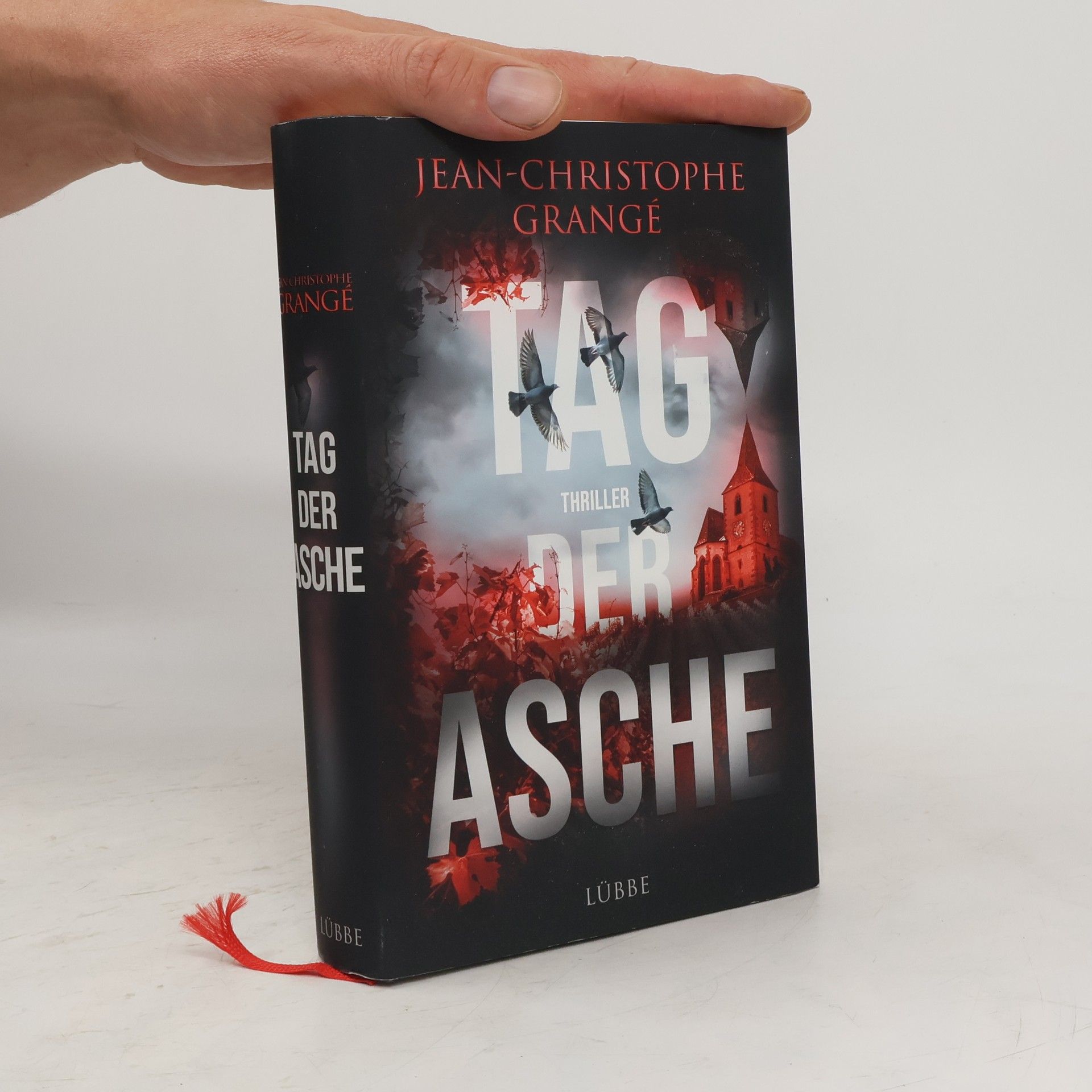 Jean Christophe Grangé Tag der Asche
