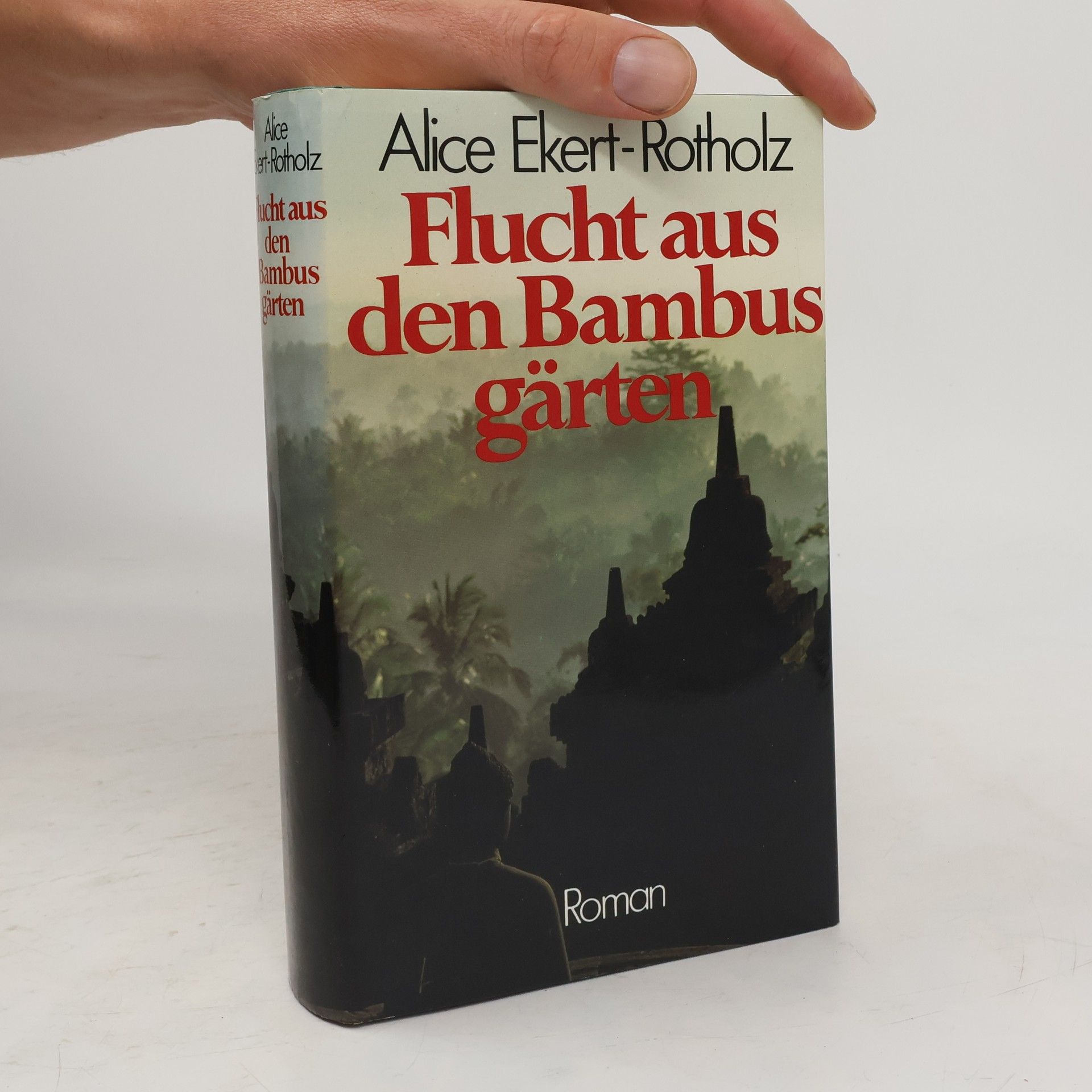 Alice Ekert-Rotholz Flucht aus den Bambusgärten