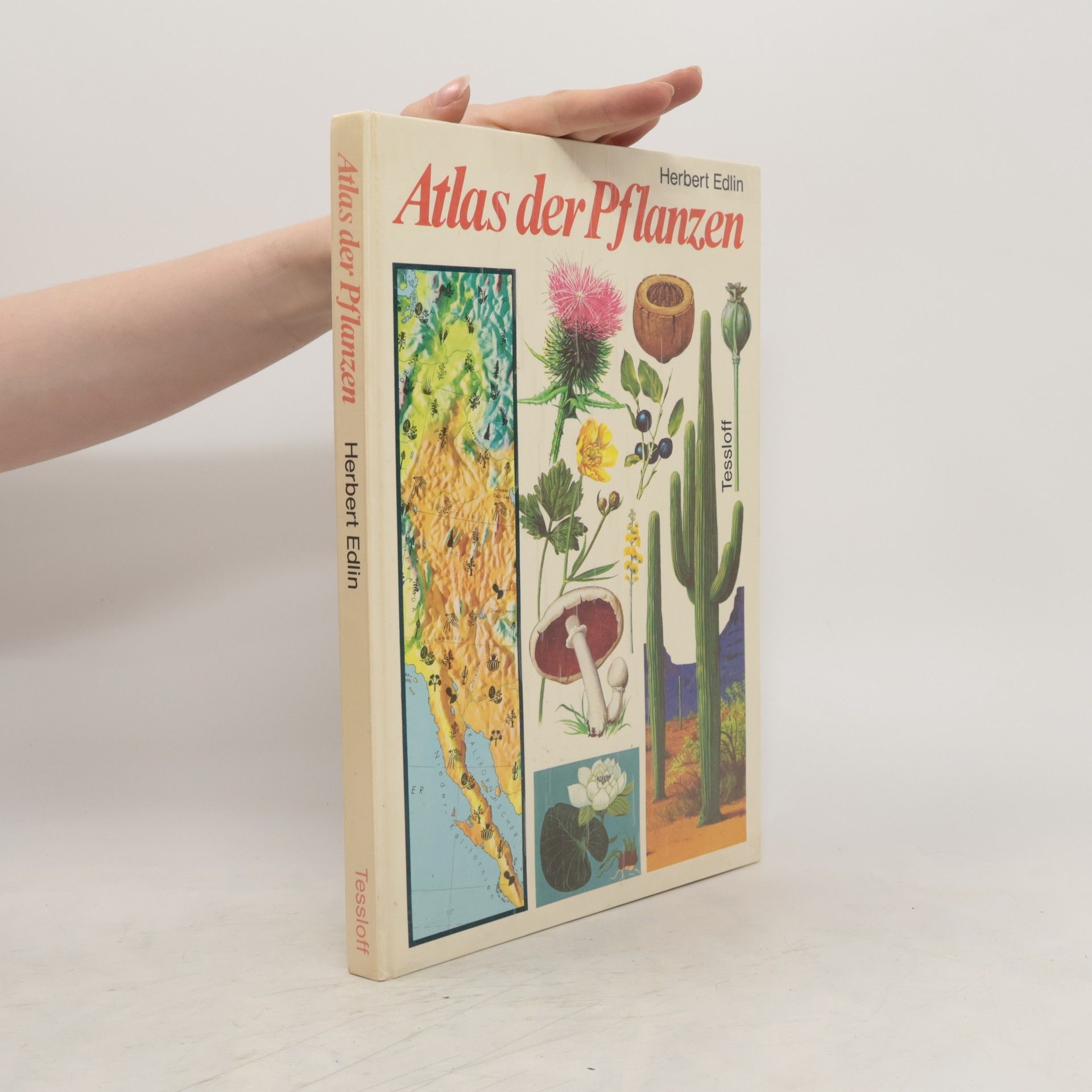 Herbert L. Edlin Atlas der Pflanzen