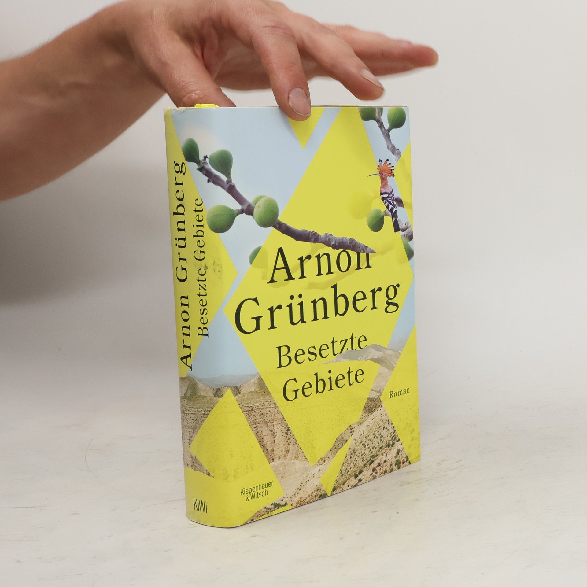 Arnon Grunberg Besetzte Gebiete