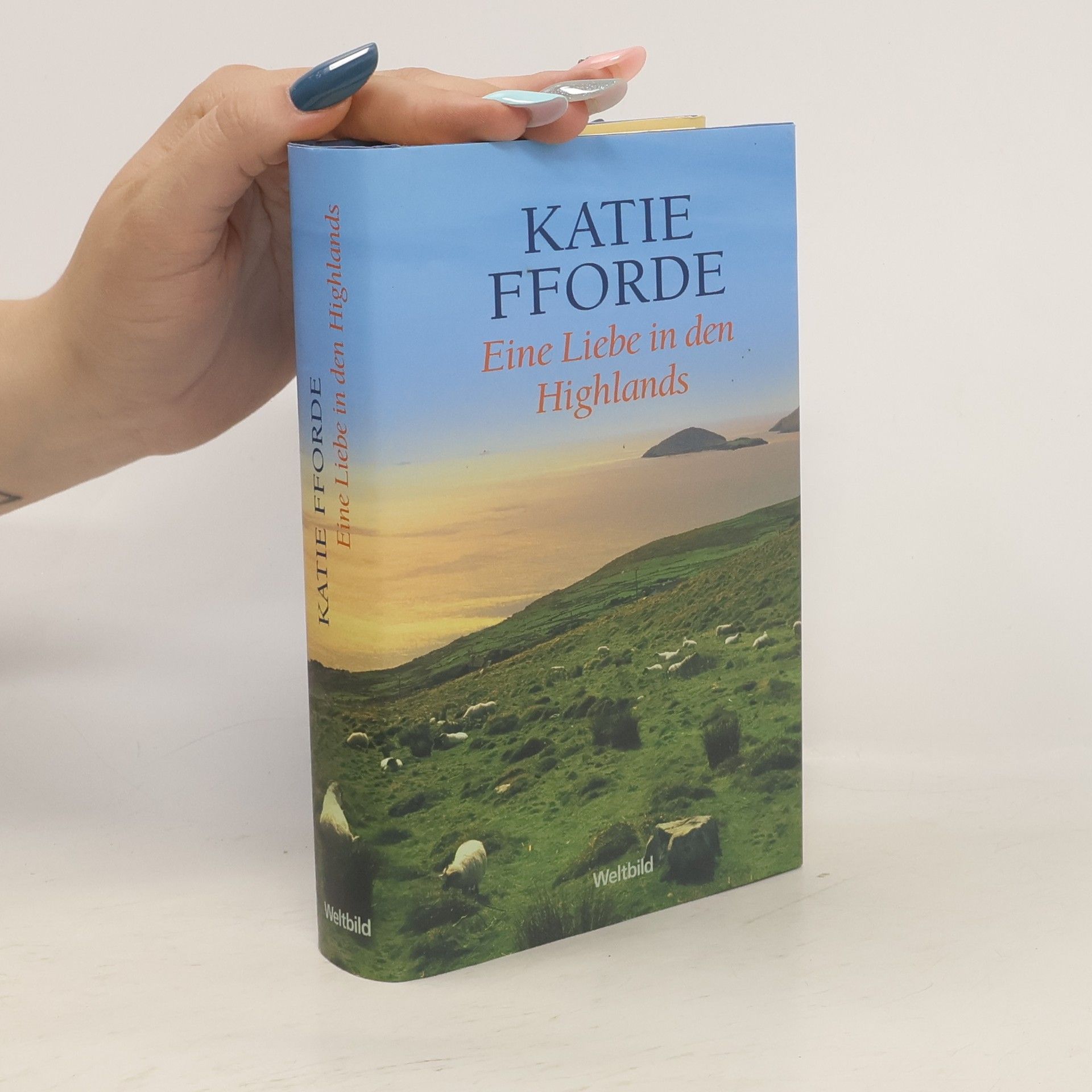 Katie Fforde Eine Liebe in den Highlands