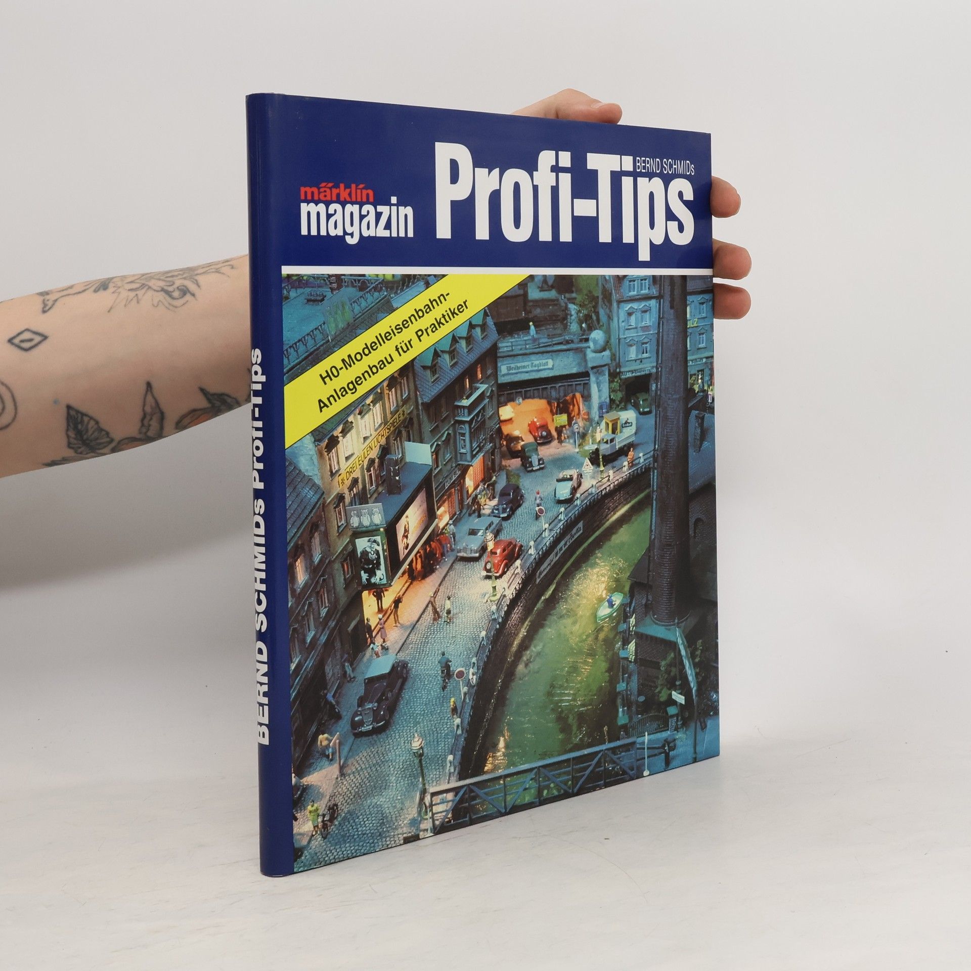Bernd Schmid Profi-Tips