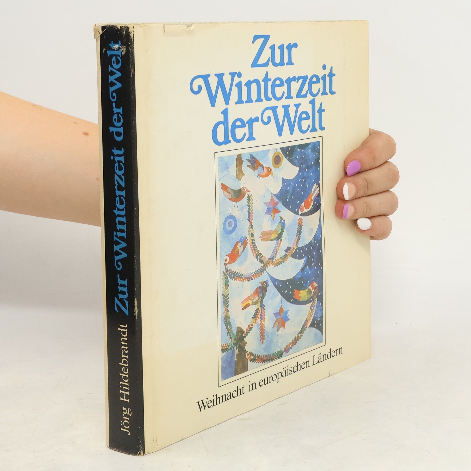 Jörg Hildebrandt Zur Winterzeit der Welt