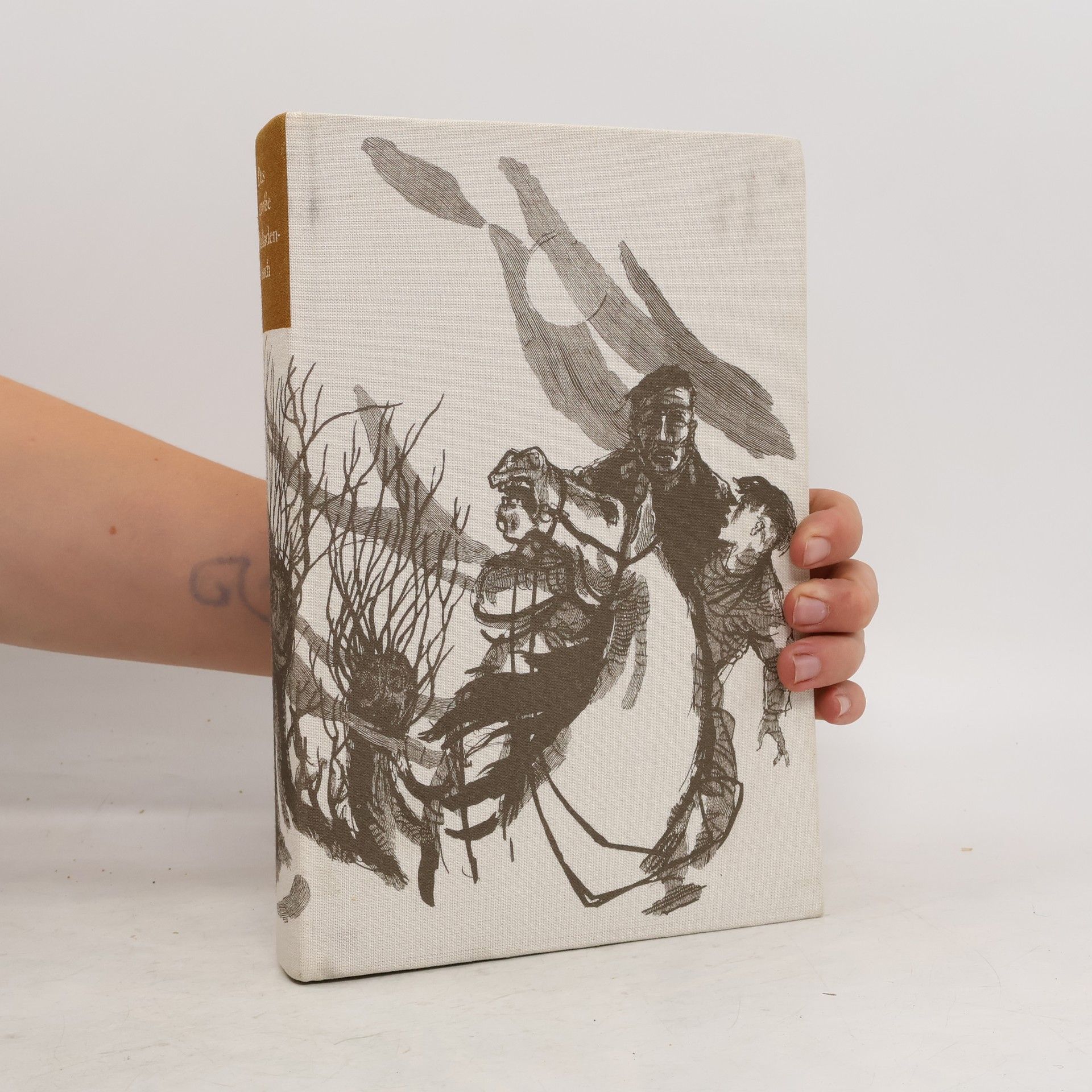 Das große Balladenbuch