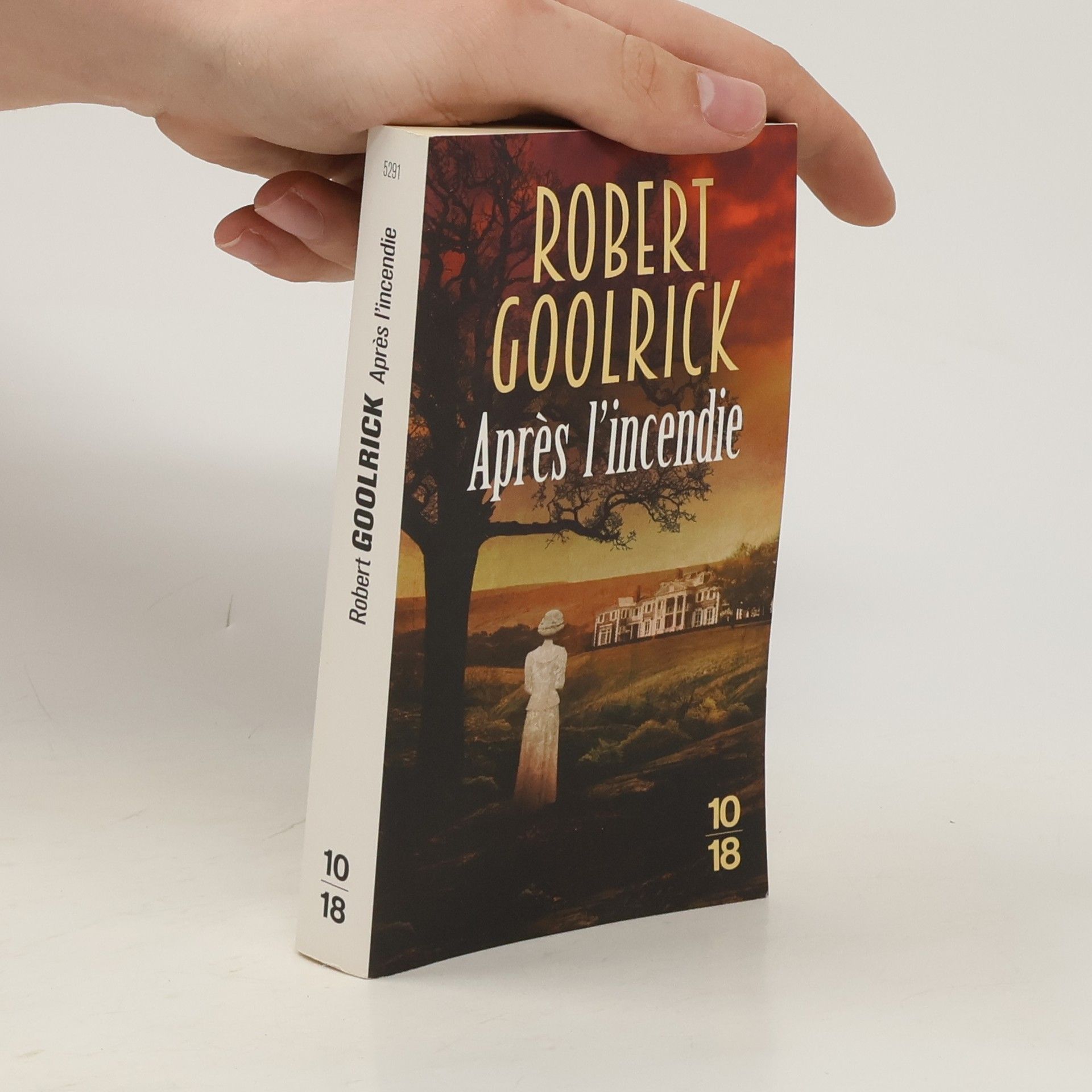 Robert Goolrick Après l'incendie