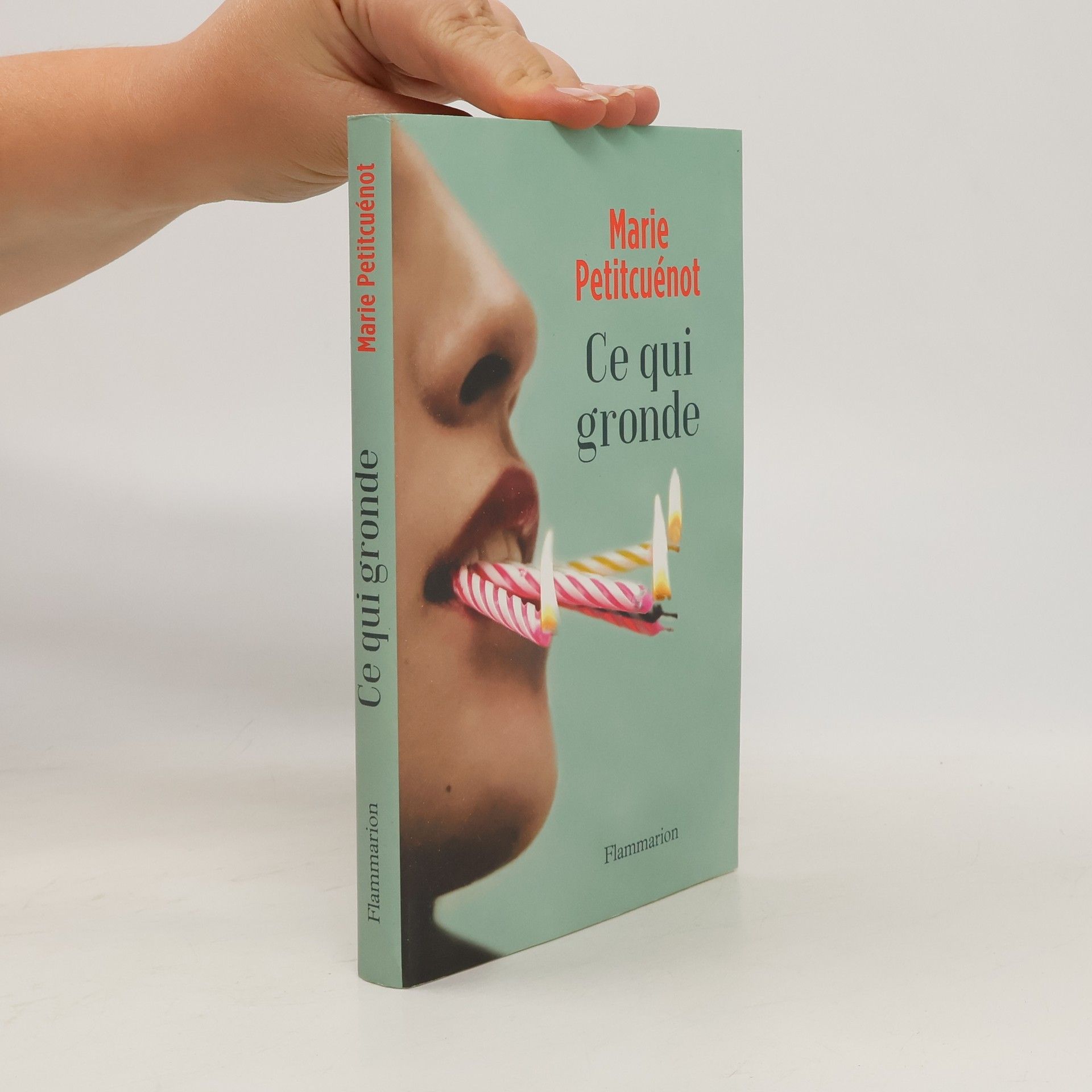 Marie Petitcuénot Ce qui gronde