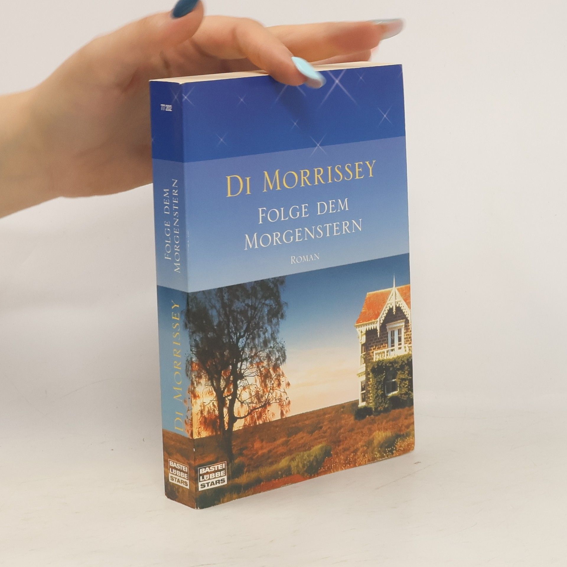Di Morrissey Folge dem Morgenstern
