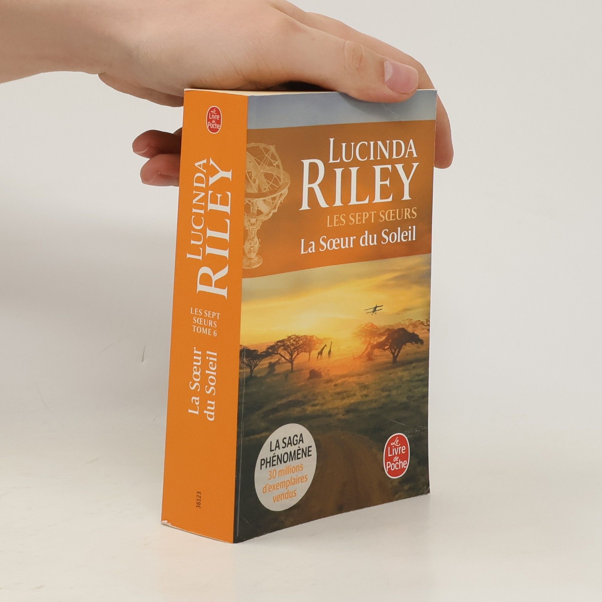 Lucinda Riley La soeur du Soleil
