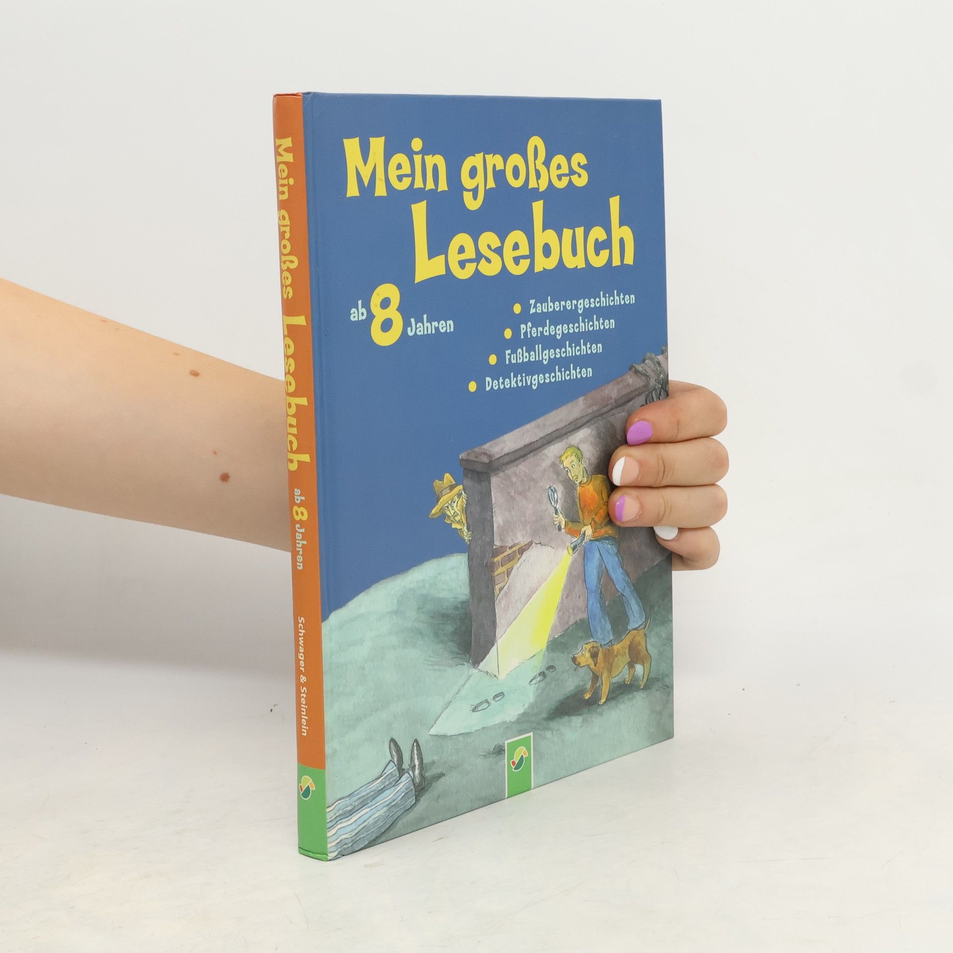 Anke Breitenborn Mein großes Lesebuch ab 8 Jahren